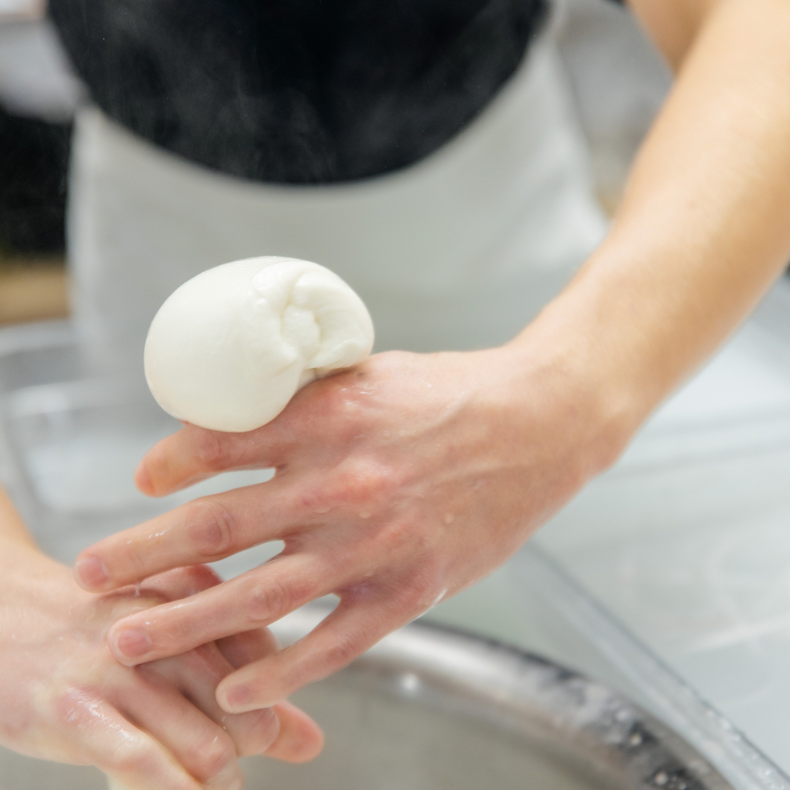 Произодство СЫРНЫЕ ТРАДИЦИИ / СЫРОВАРНЯ