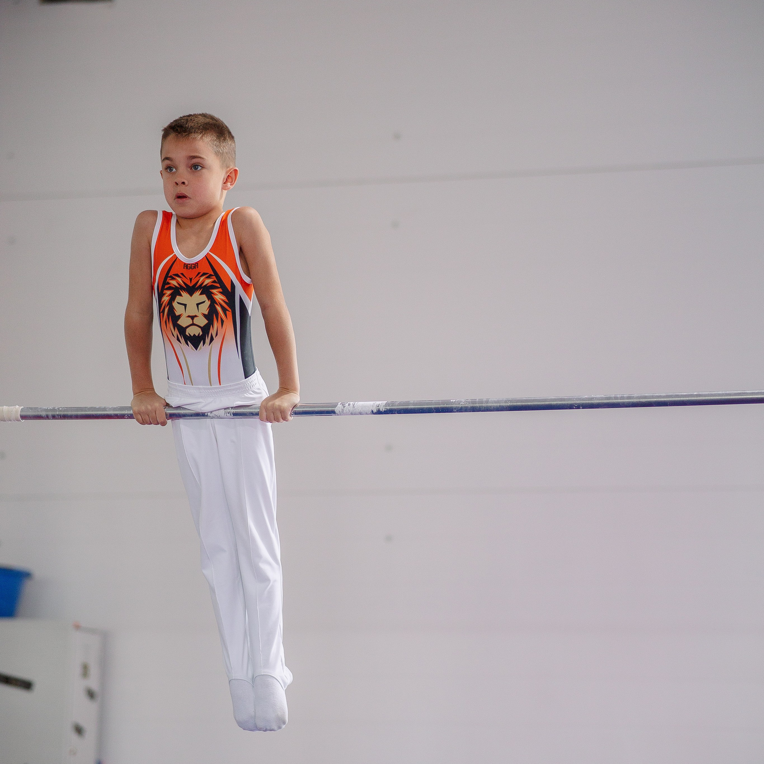 Академия гимнастики Голоцуцкова Антона