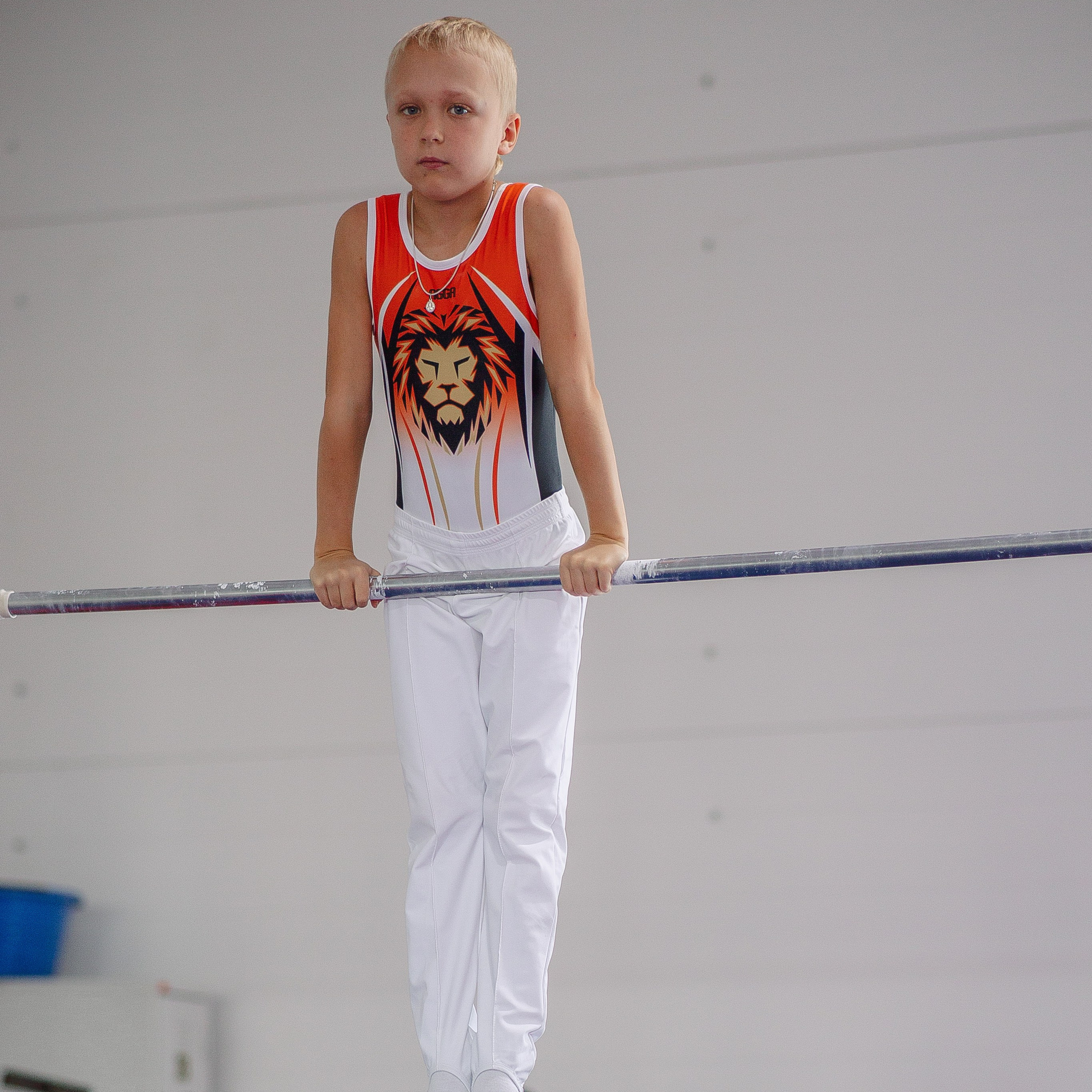 Академия гимнастики Голоцуцкова Антона