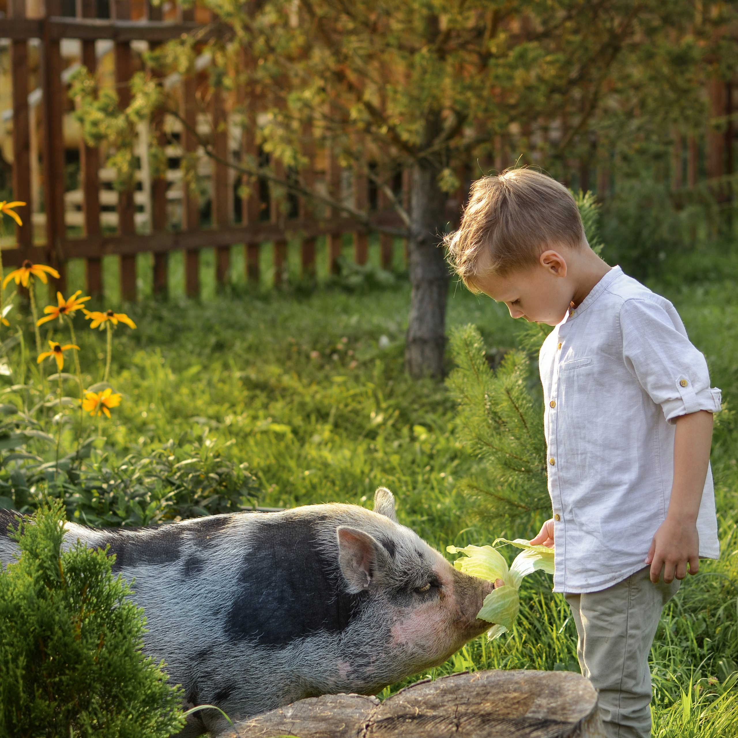Отзывы. Детский фотограф в Москве