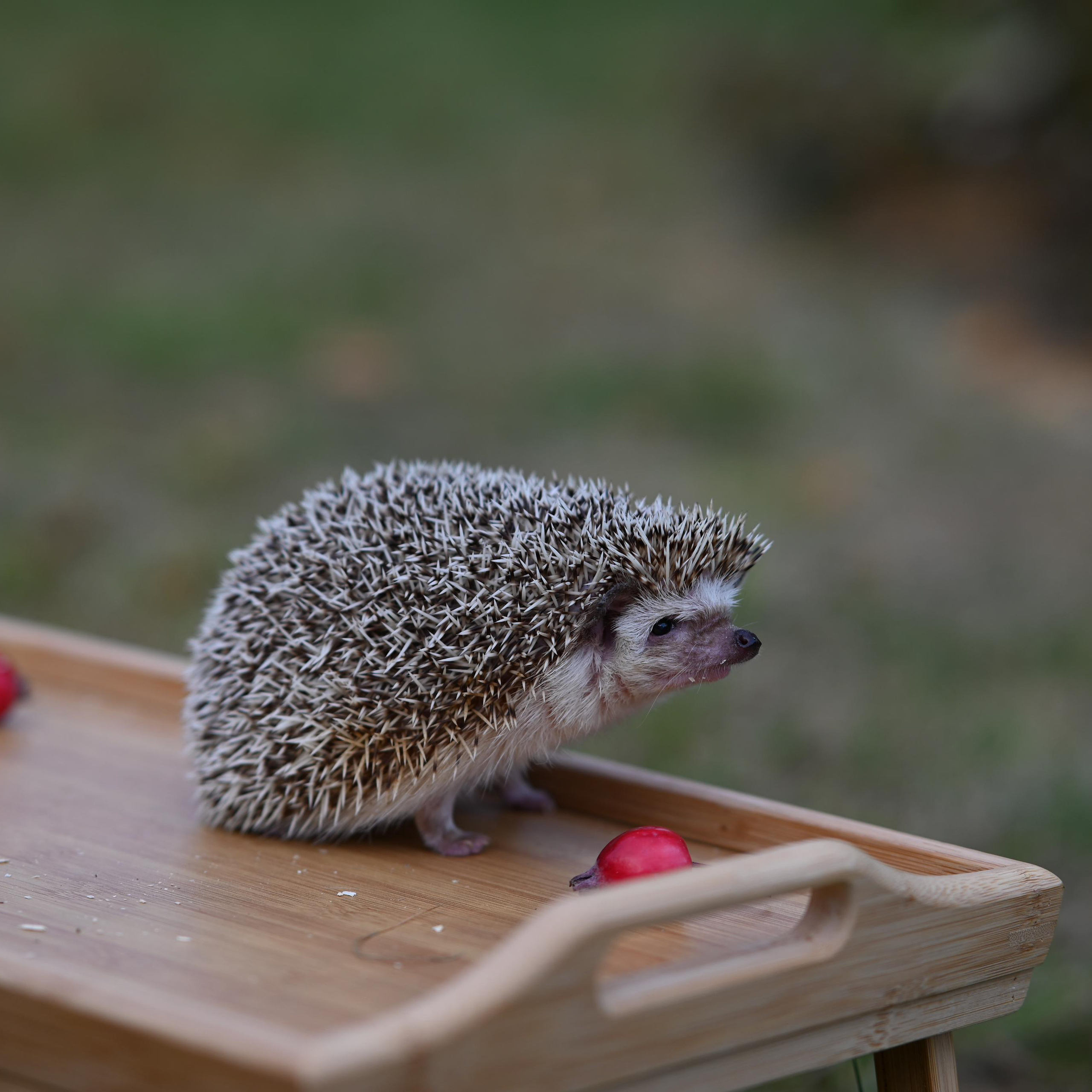 Отзывы. Детский фотограф в Москве
