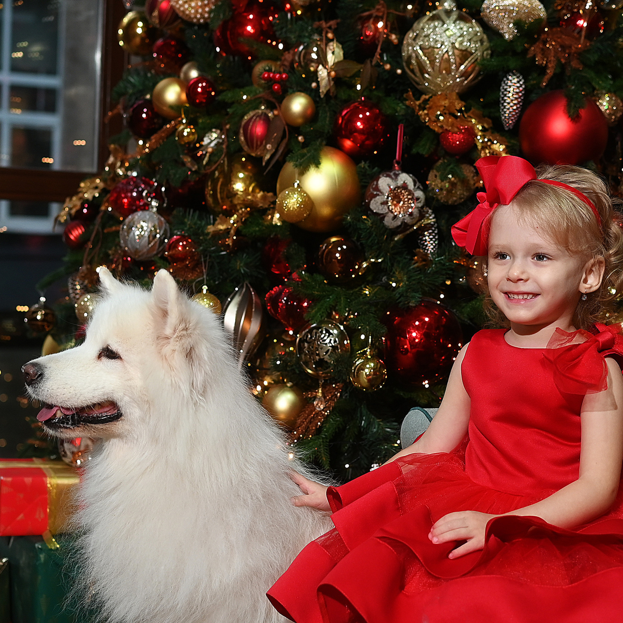 Отзывы. Детский фотограф в Москве
