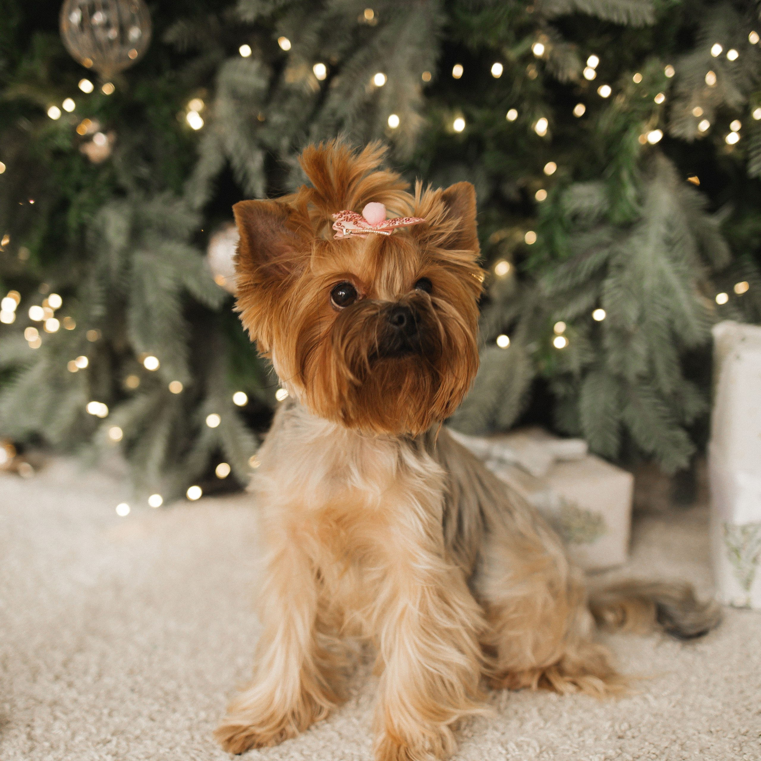 Отзывы. Фотограф Екатеринбург Анастасия Лиханова