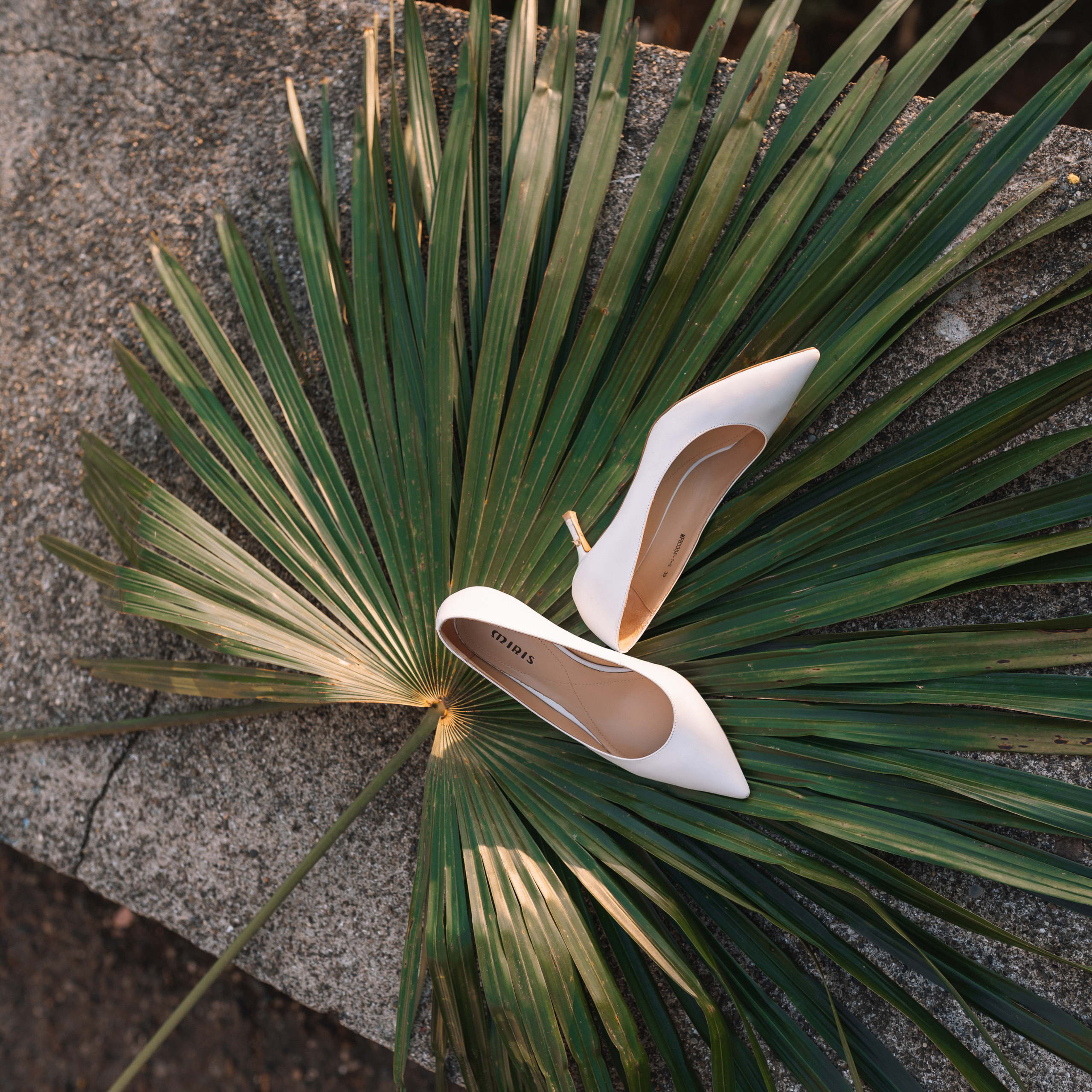 Отзывы. Живые снимки! Фотограф Даша Бендер