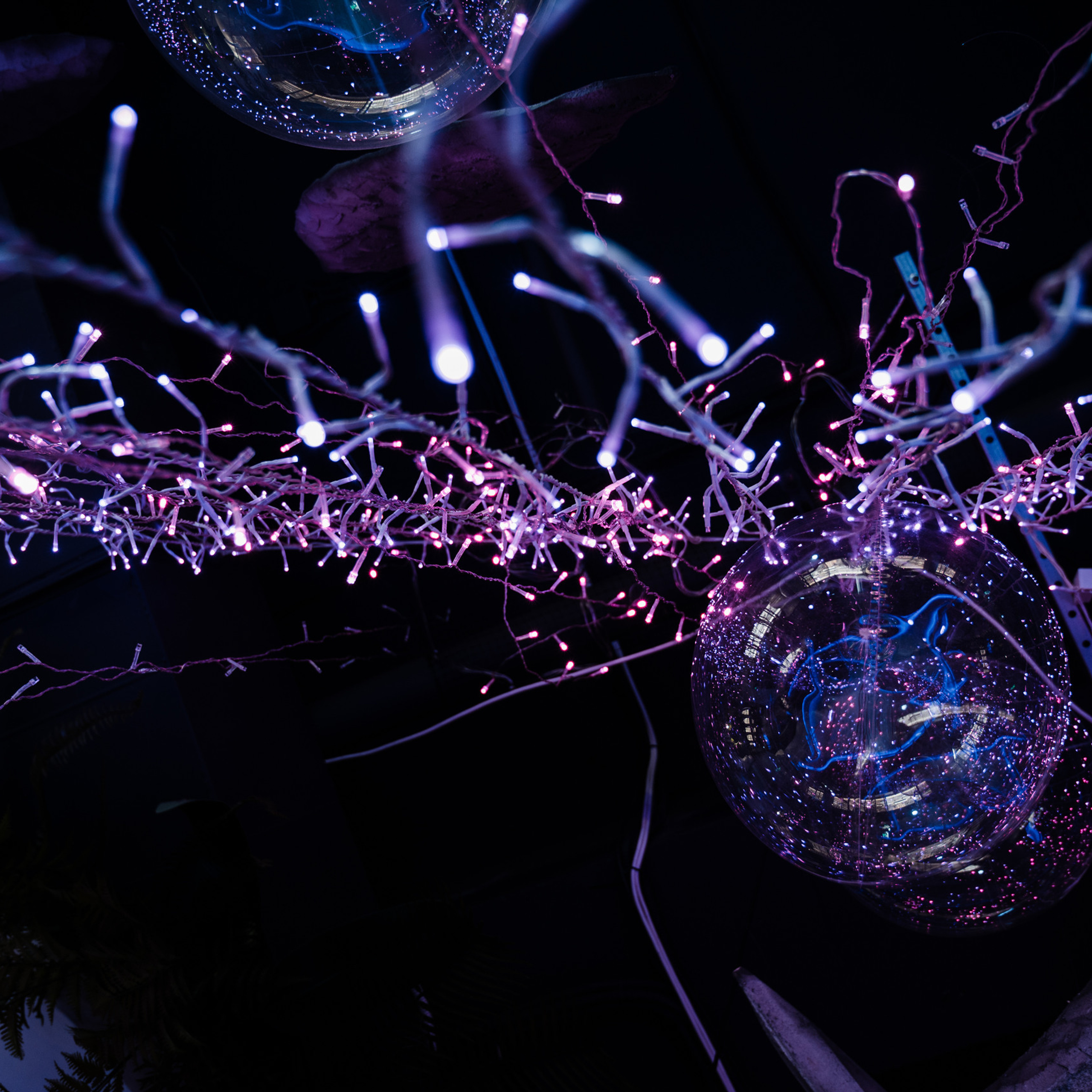 Отзывы фотограф Марина Степа. Свадебный и семейный фотограф в Краснодаре Марина Стёпа