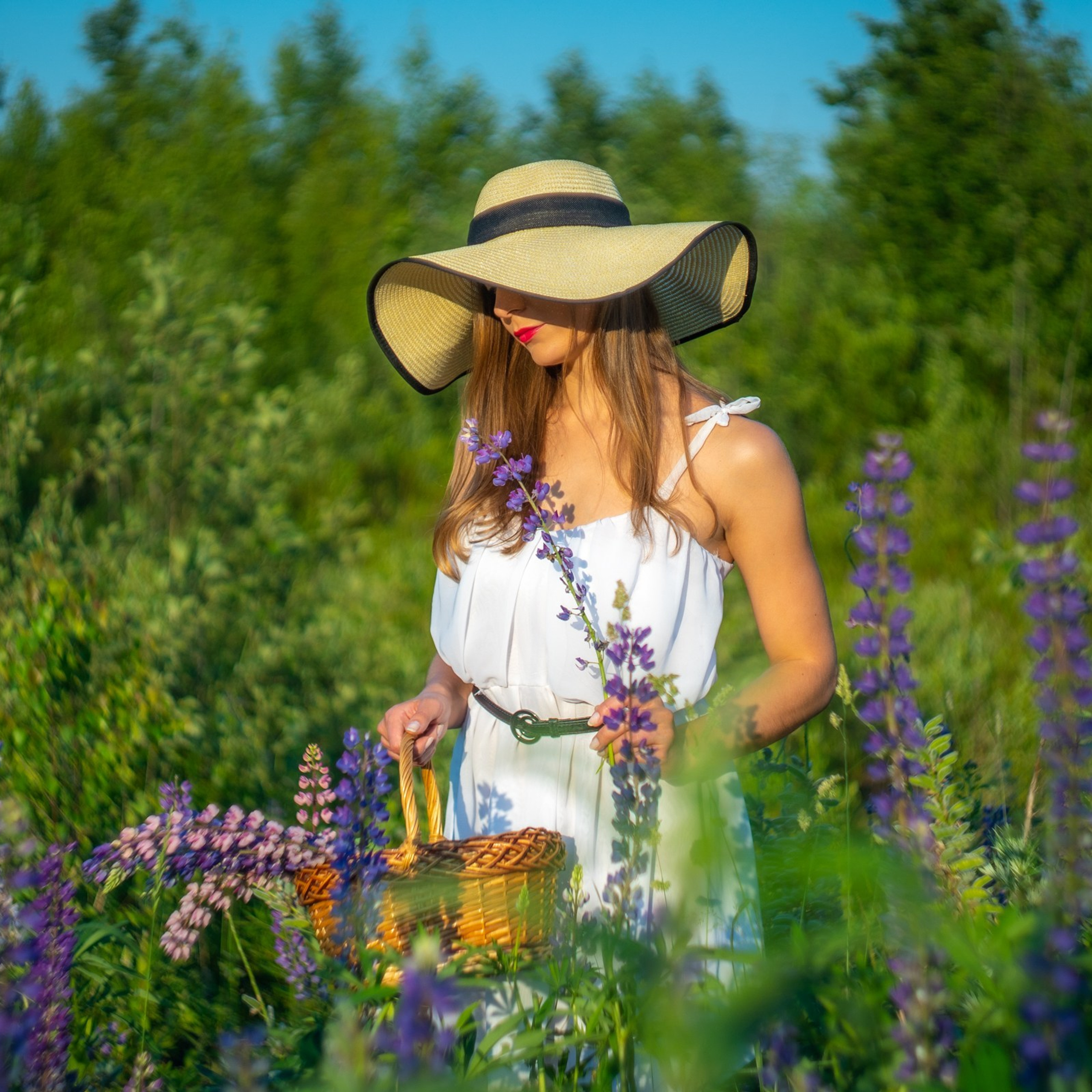 Лиза. Люпины