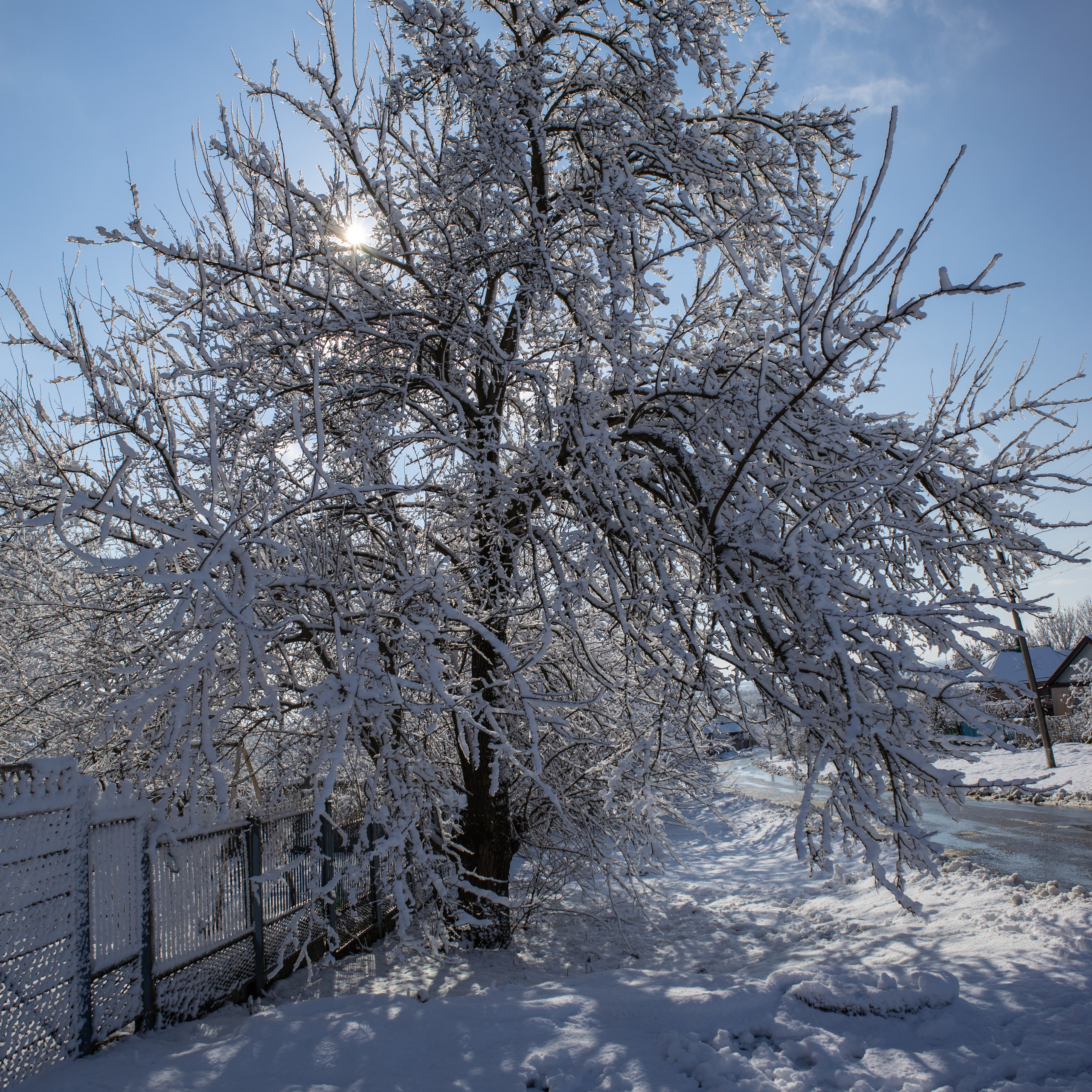 Станица Тенгинская Краснодарский край зима 2022 г