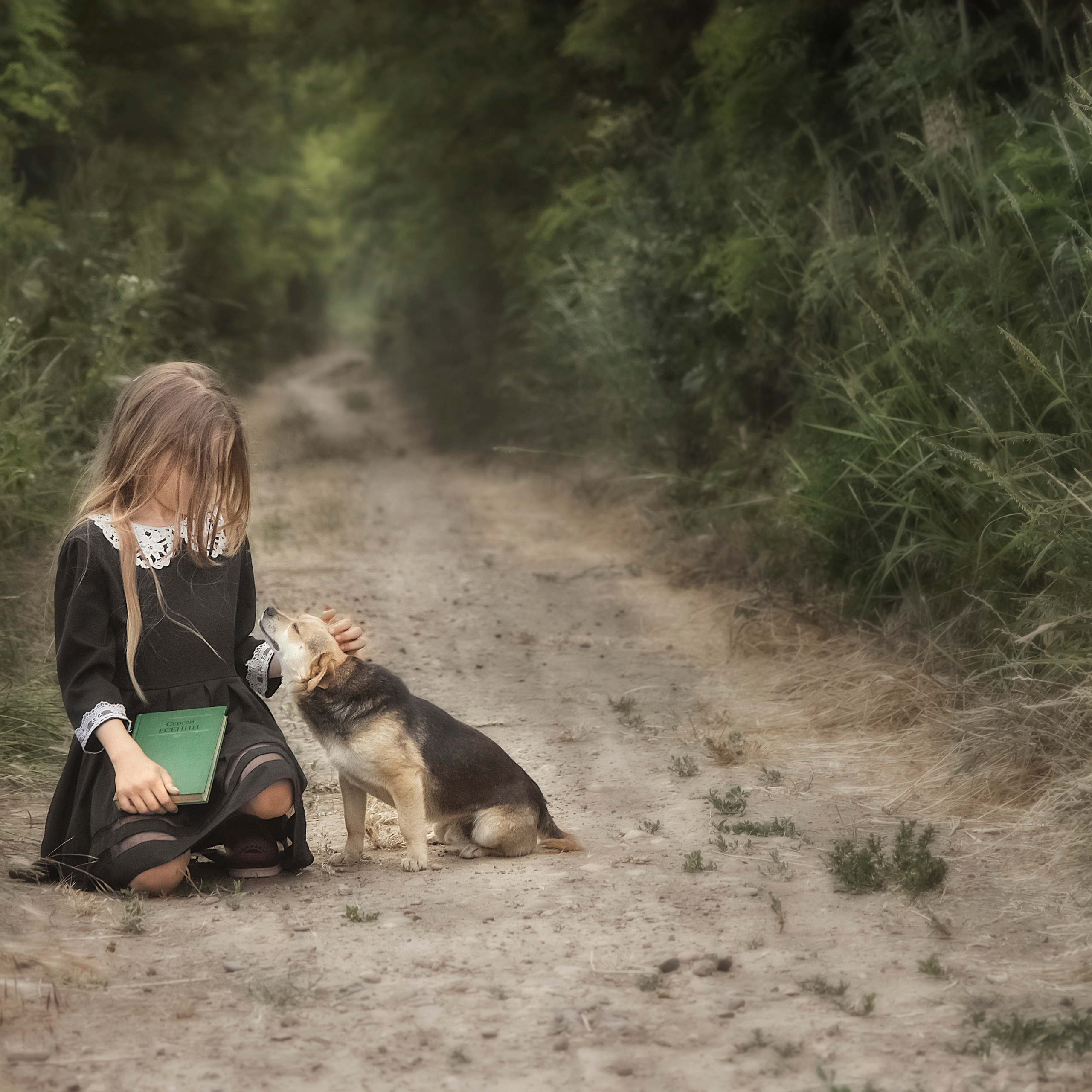 И снова лето. 2023 год. Погуляем?