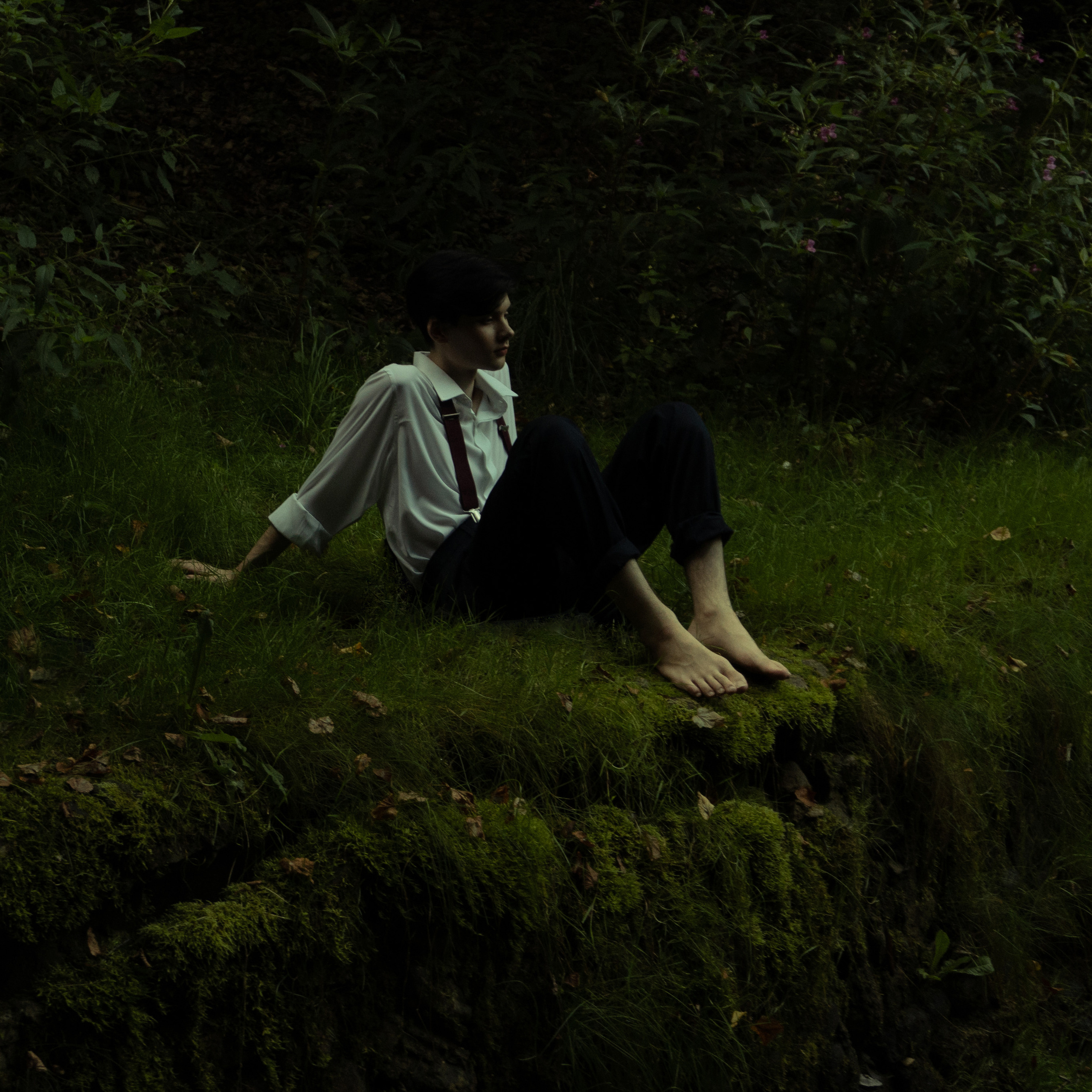 История из леса. Худси.