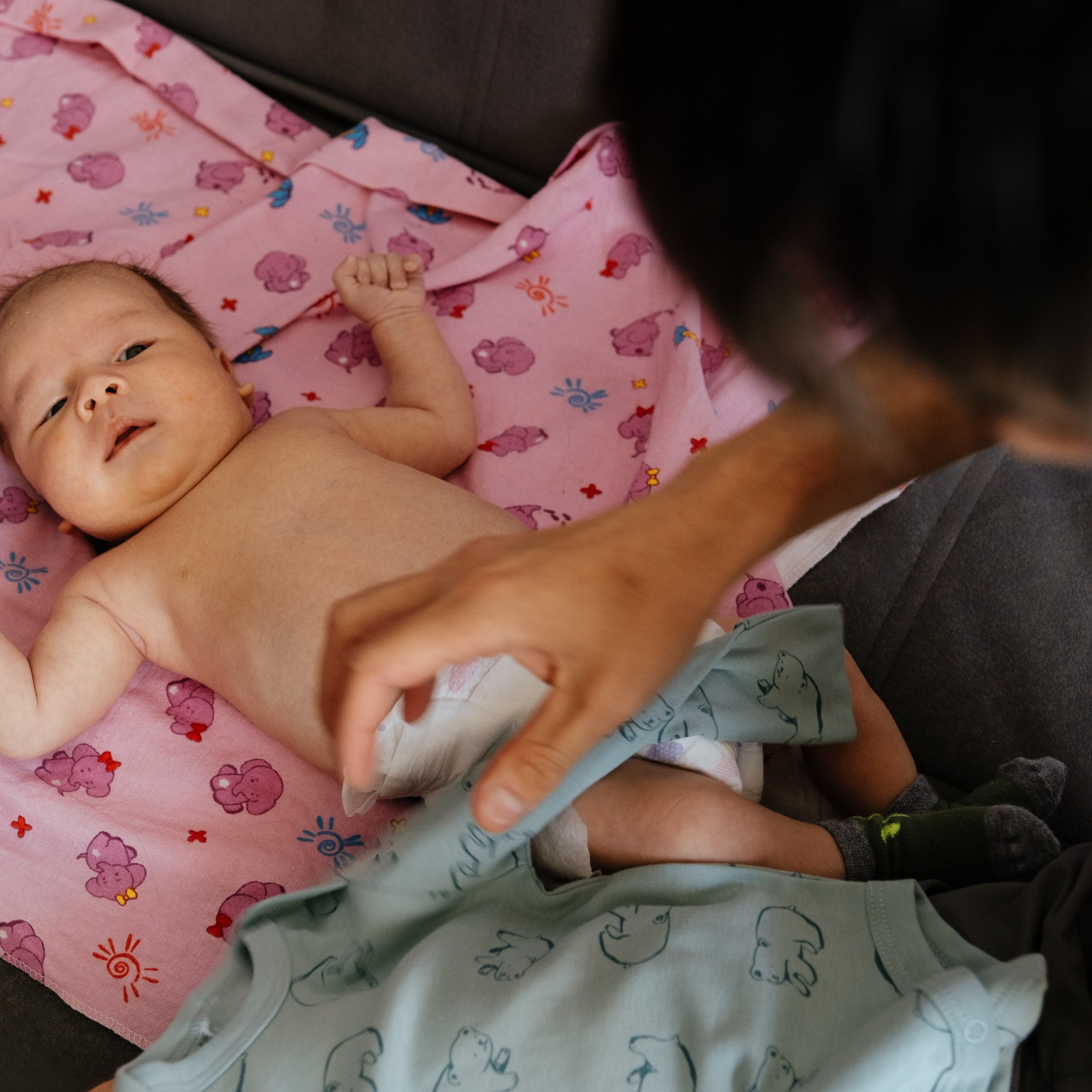 Отзывы. Прайс