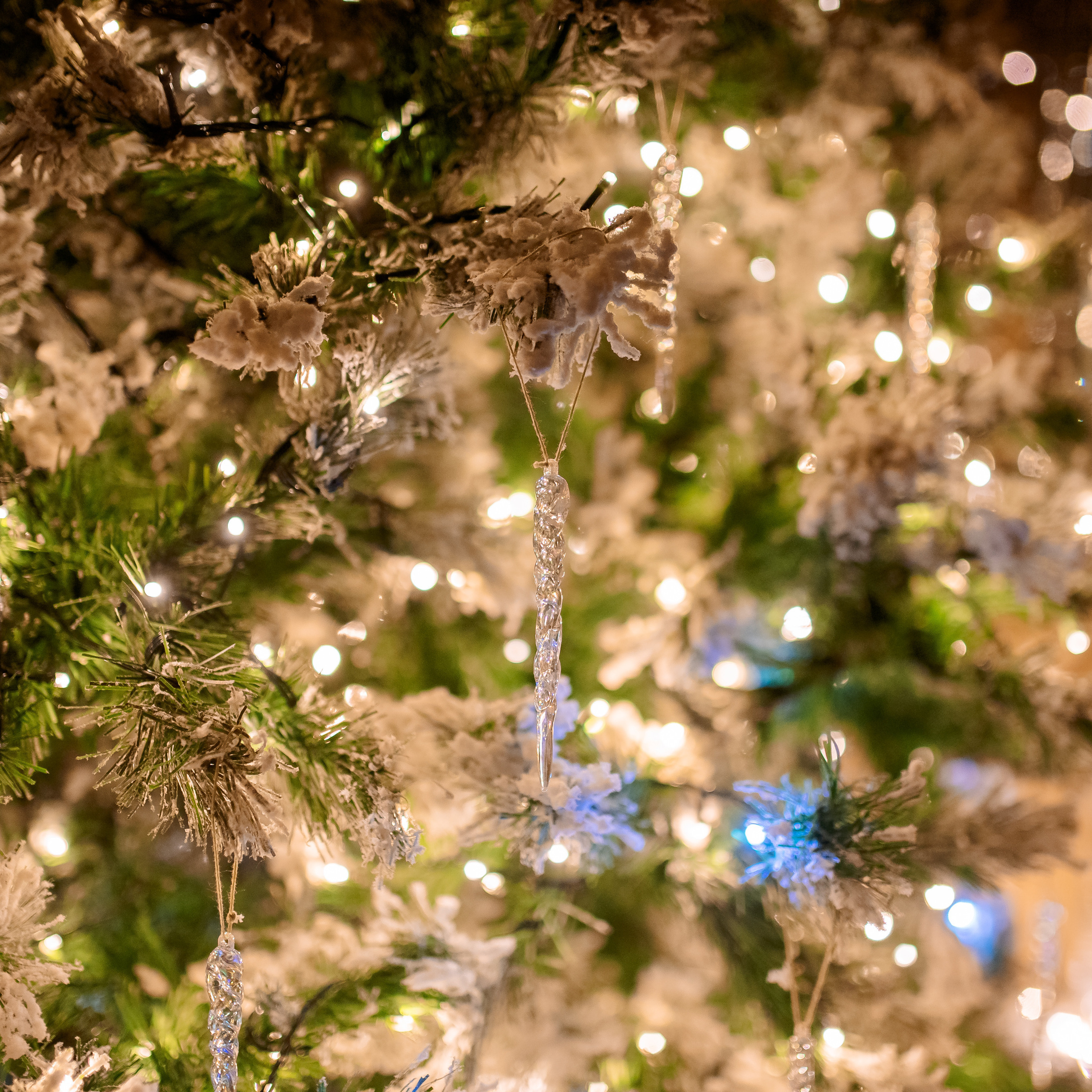 Отзывы. Фотограф Краснодар Николай Андросов