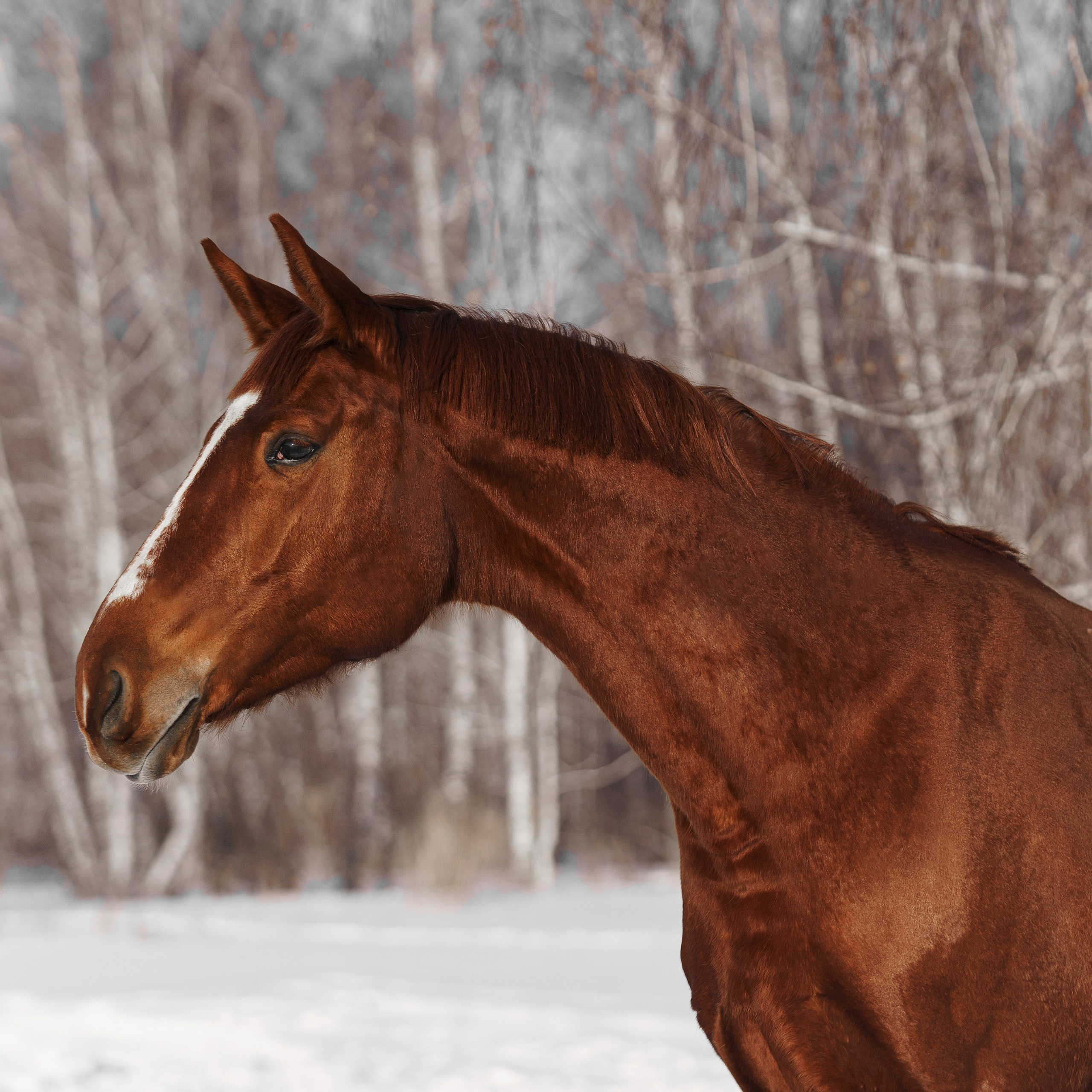 Хрестоматия