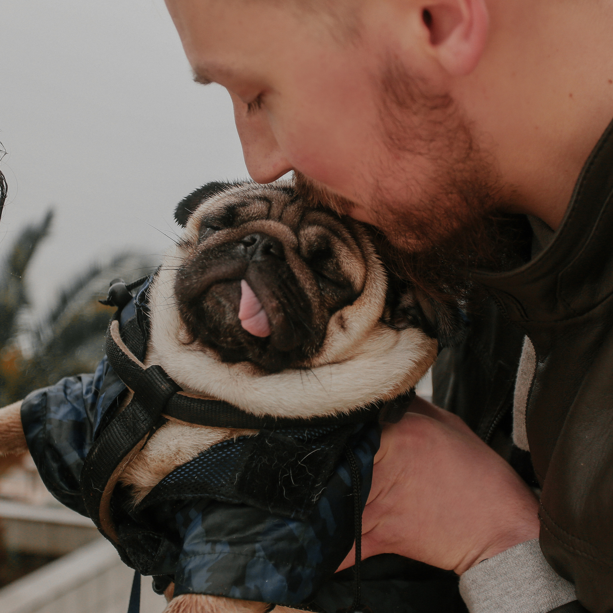 Отзывы о фотографе Милана Довгаль. Милана Довгаль - семейный фотограф и видеограф  в Адлере и Сочи