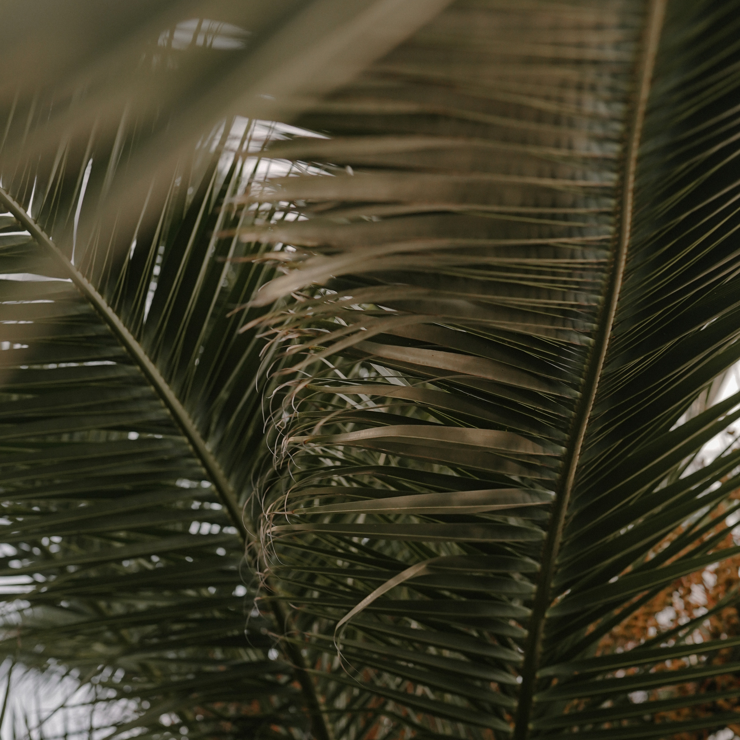 Отзывы о фотографе Милана Довгаль. Милана Довгаль - семейный фотограф и видеограф  в Адлере и Сочи