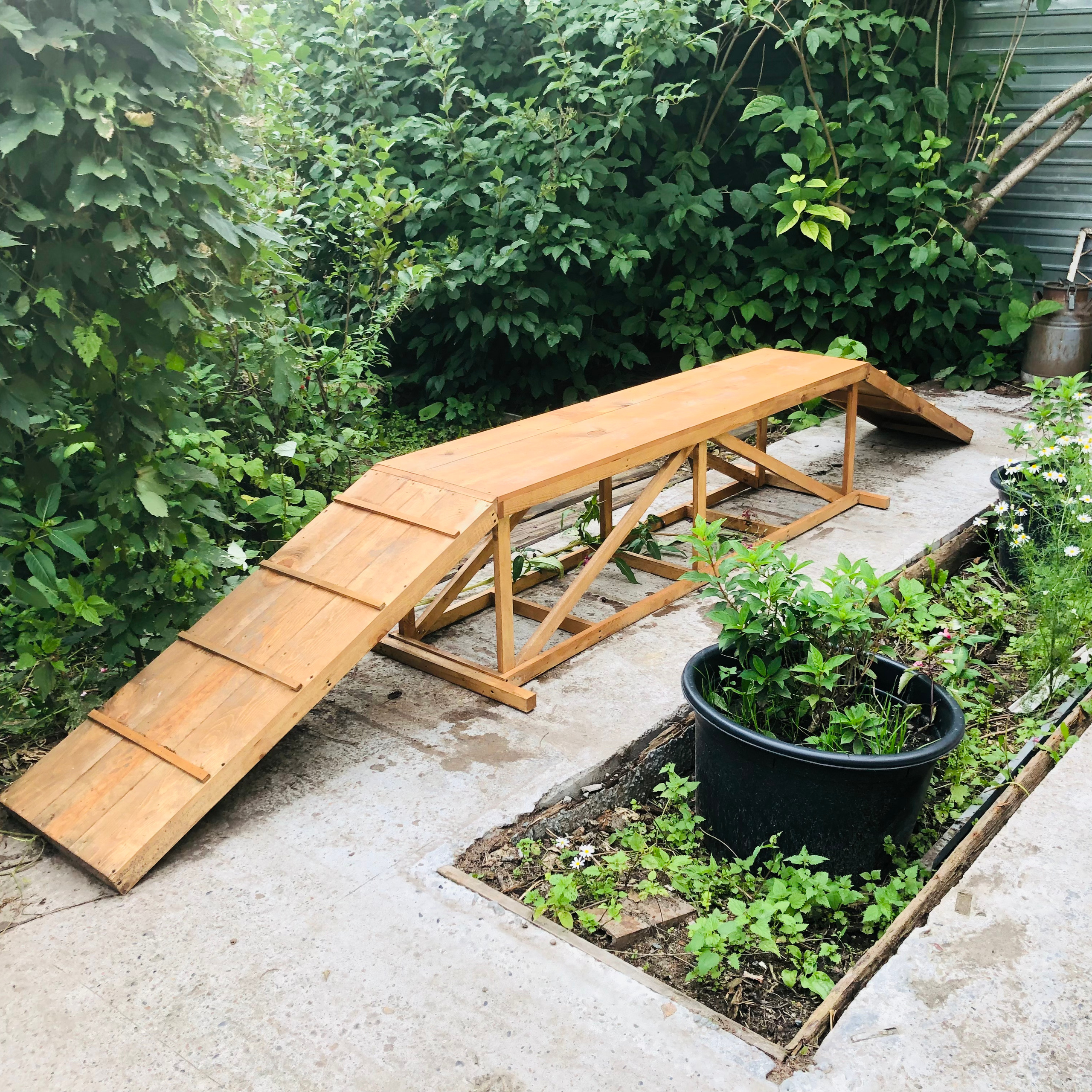 Дома для животных. Главная