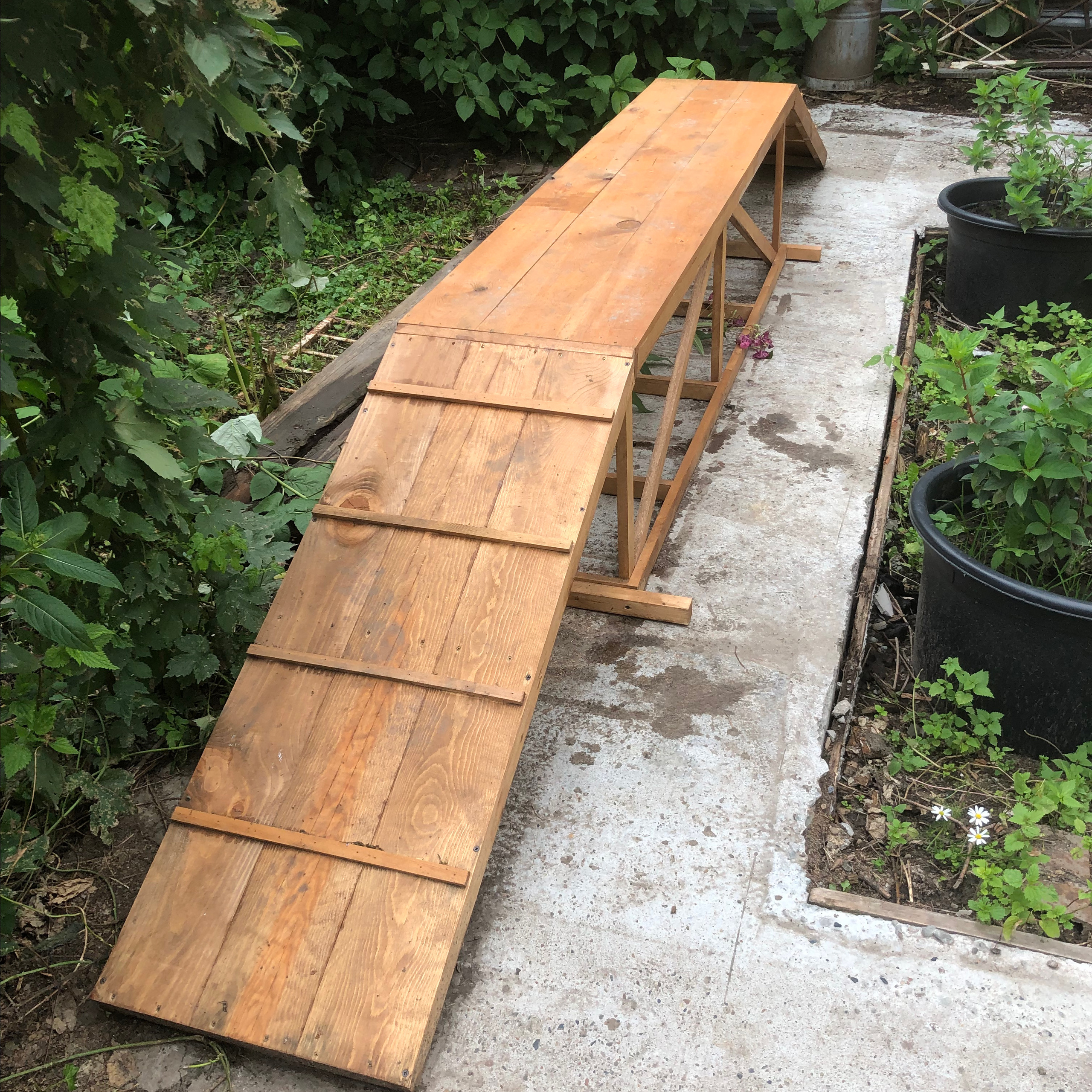 Дома для животных. Главная