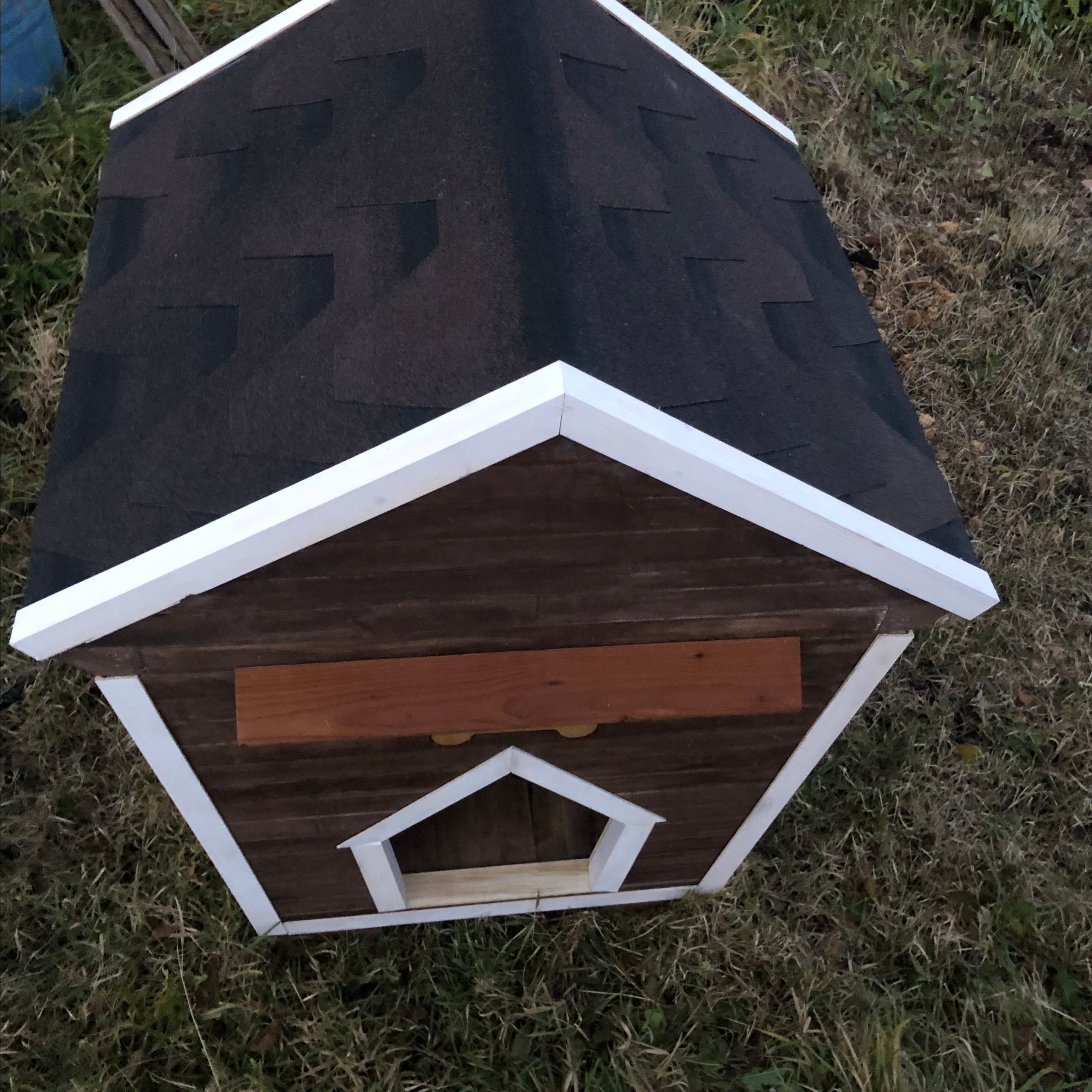 Дома для животных. Главная