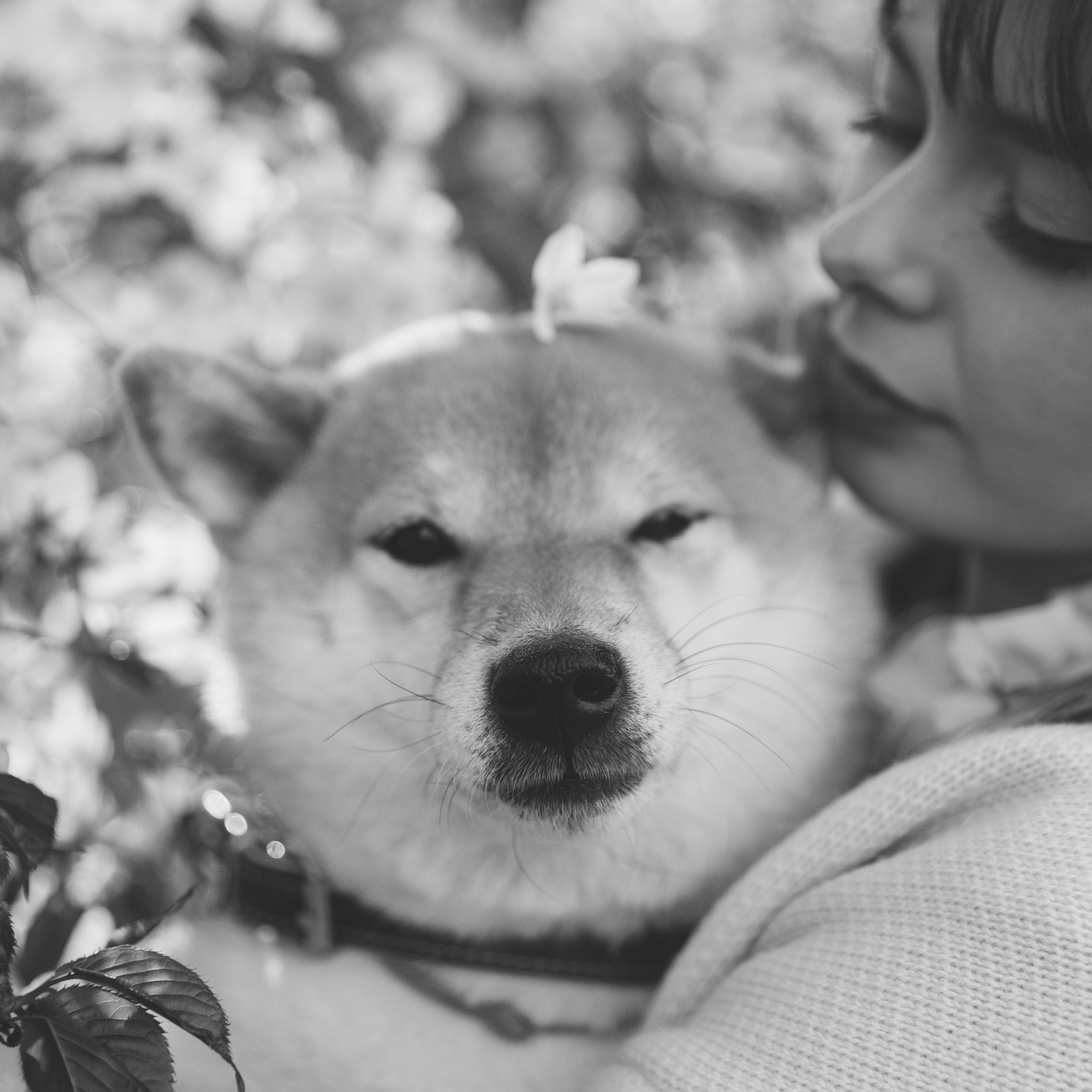 Анастасия и Тайра