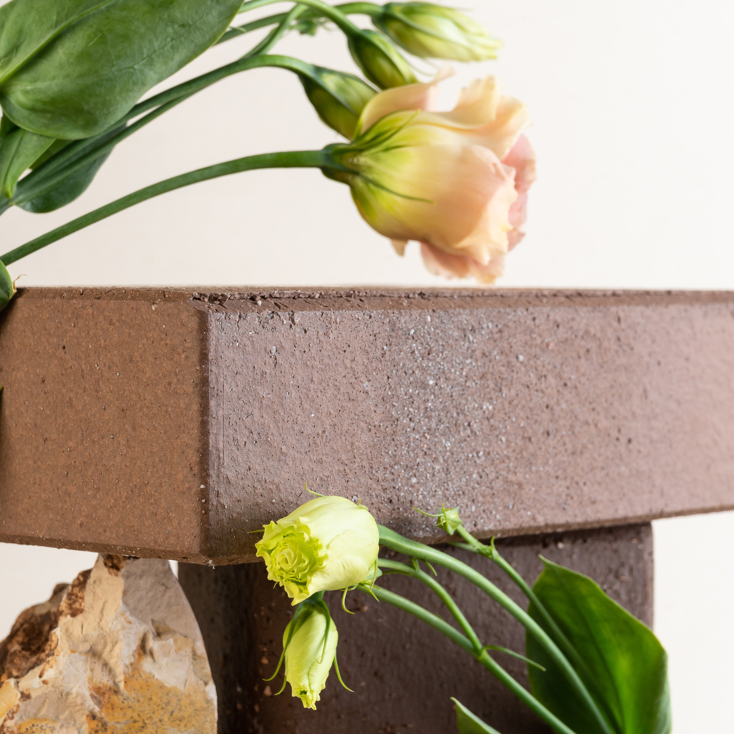 Предметная съемка. Фотограф Анастасия Бондарчук