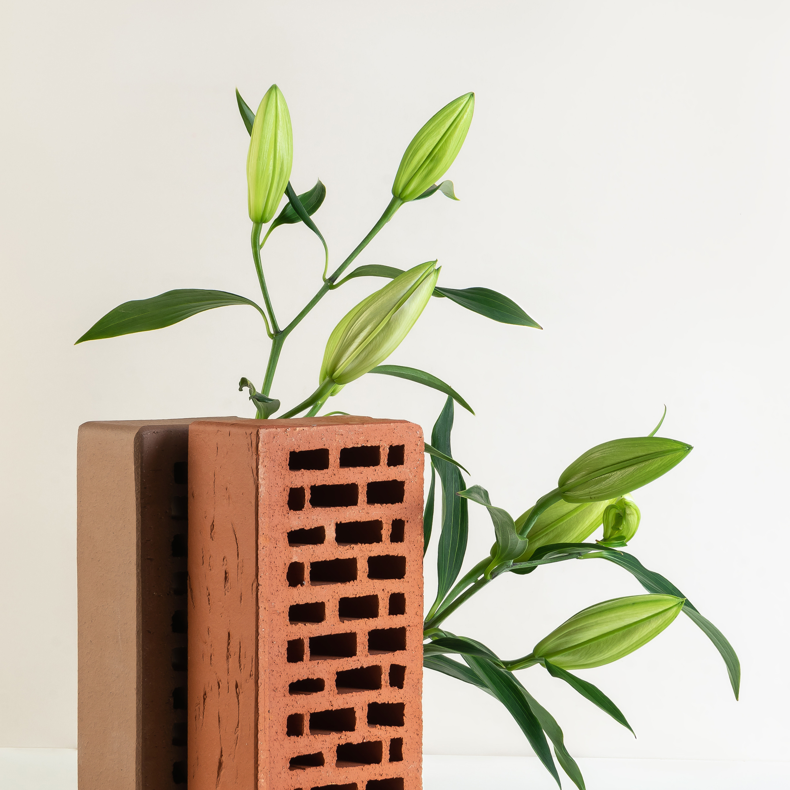 Предметная съемка. Фотограф Анастасия Бондарчук