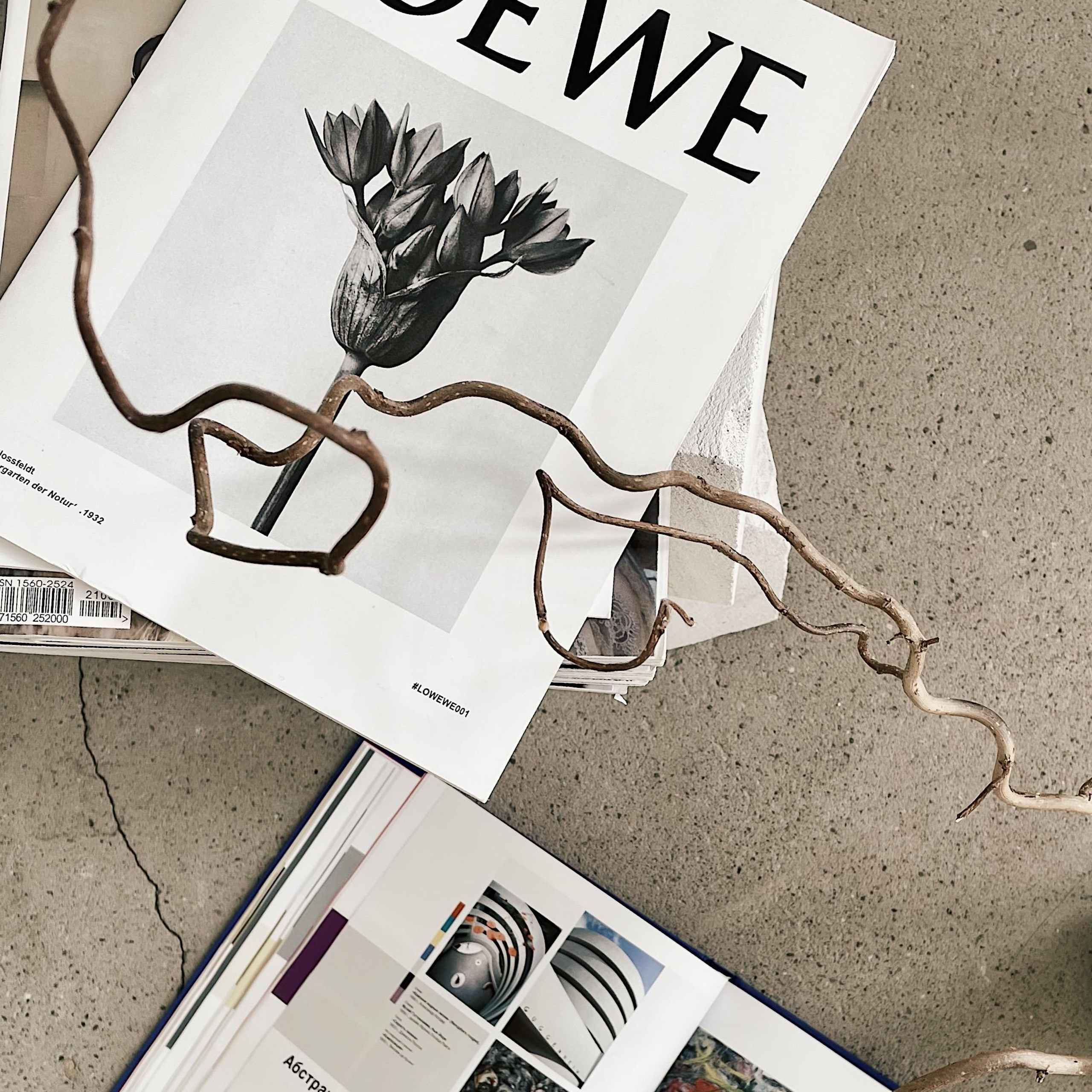 Предметная съемка. Фотограф Анастасия Бондарчук