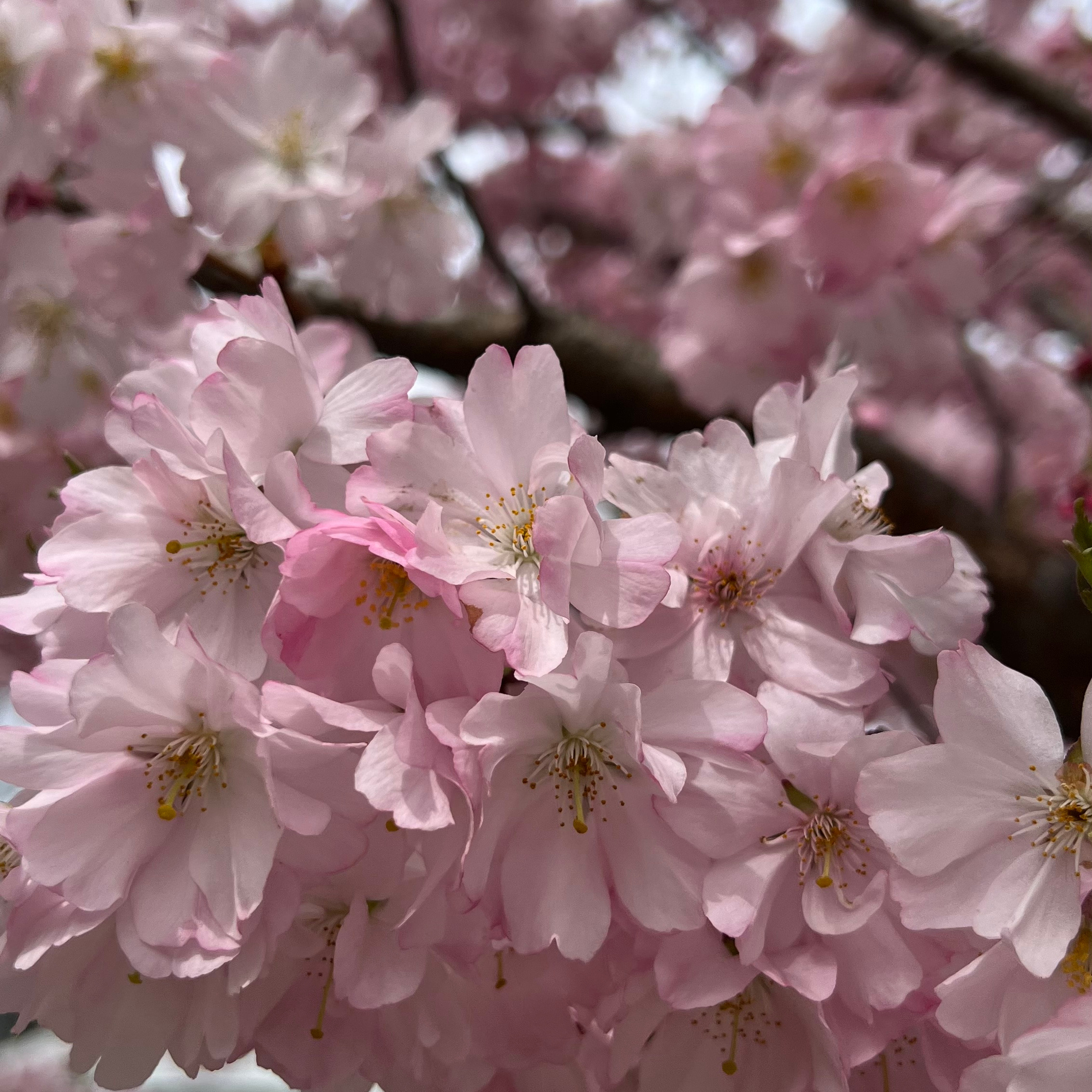 Reference fotografa. Svatební fotografka
