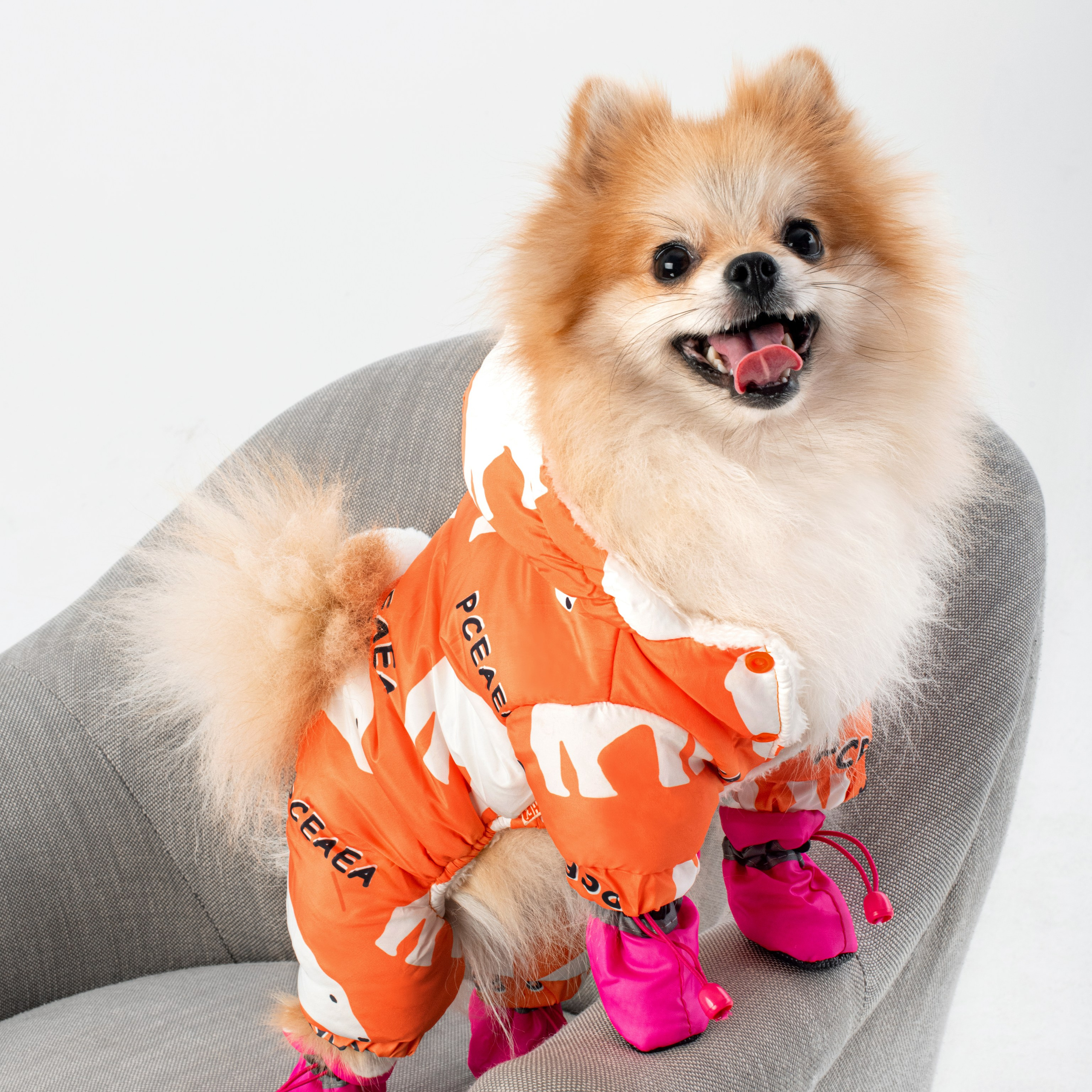 Съемка ботинок для собак