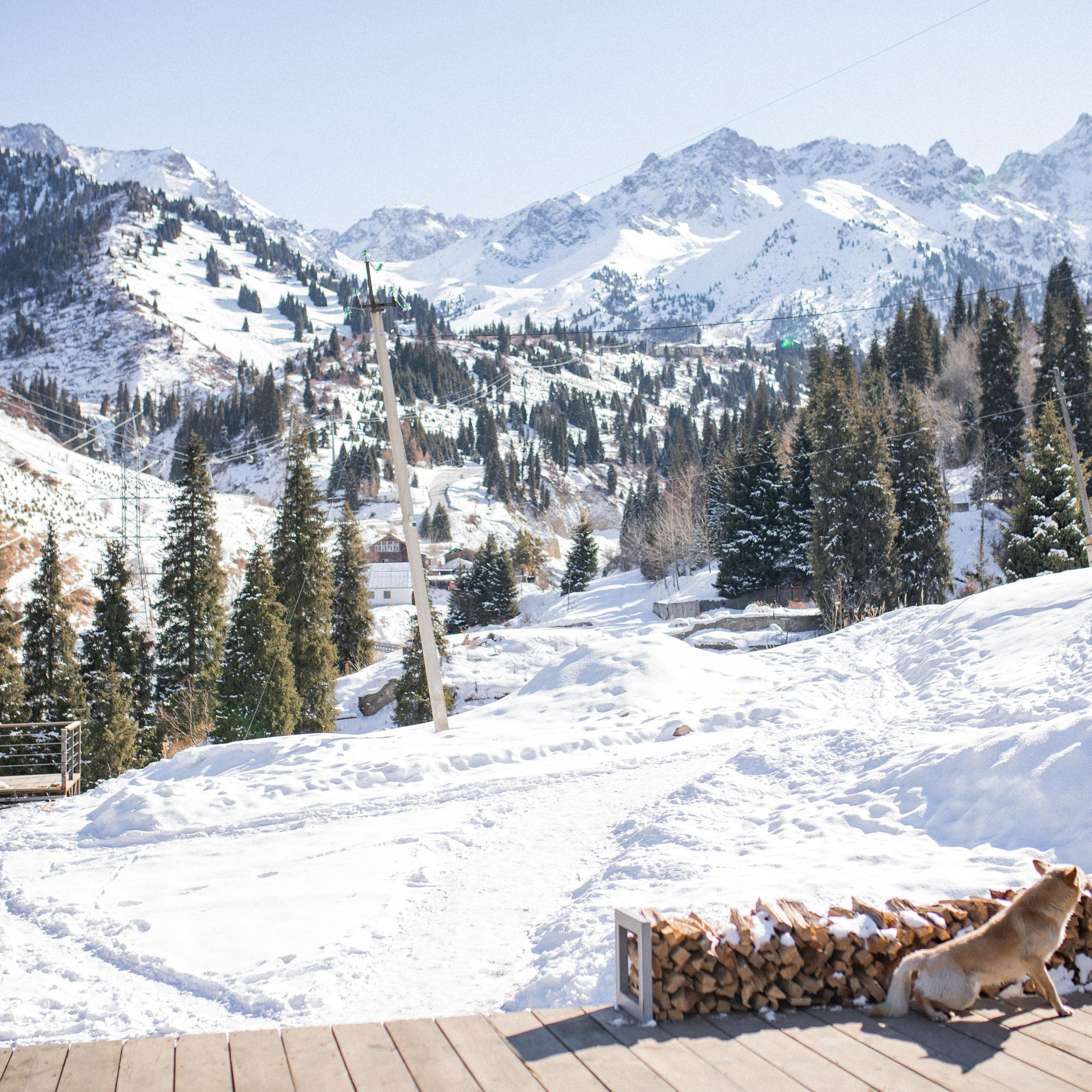 Отзывы. Семейный и детский фотограф в Алматы