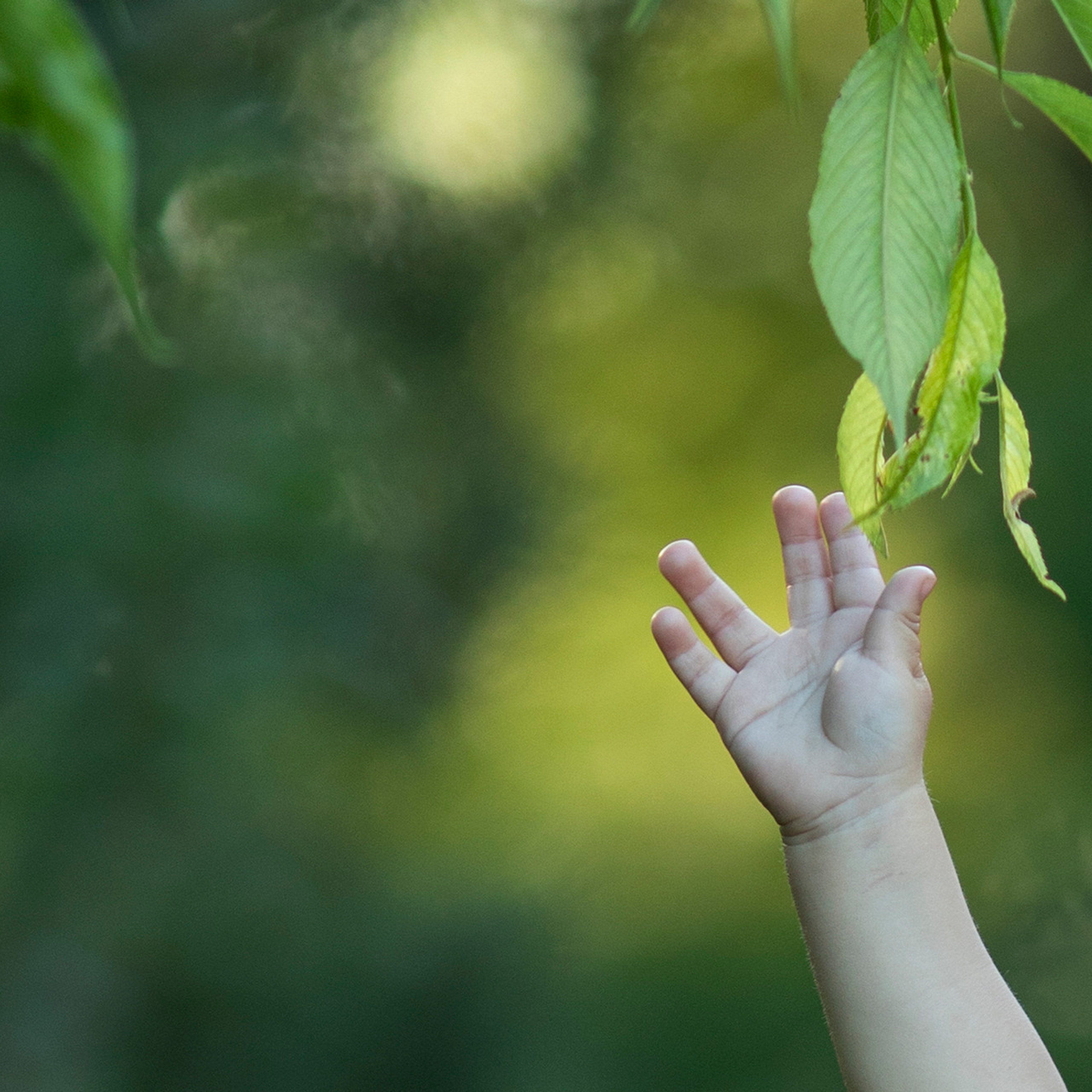 Отзывы. Семейный и детский фотограф в Алматы