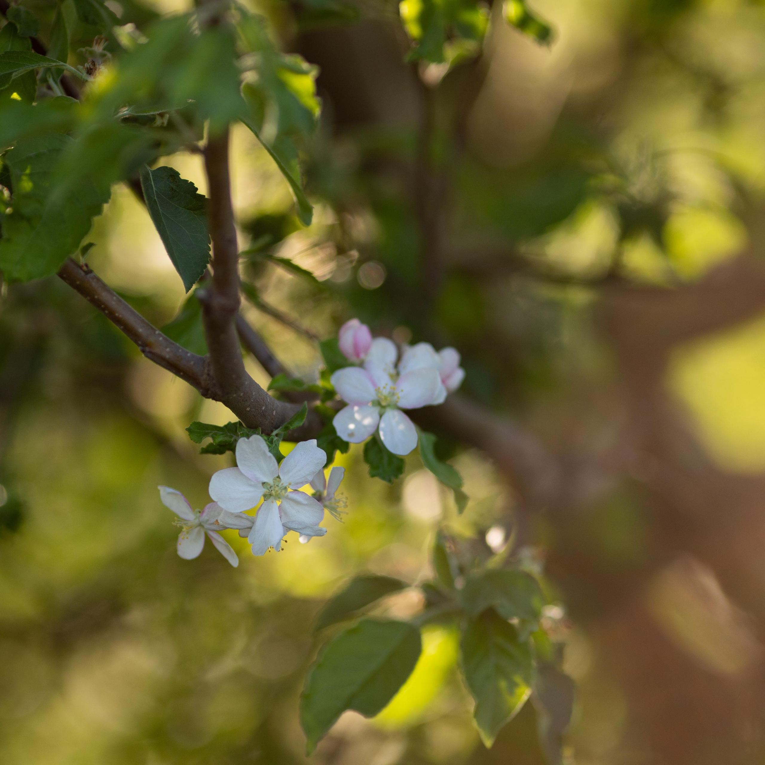 Отзывы. Семейный и детский фотограф в Алматы
