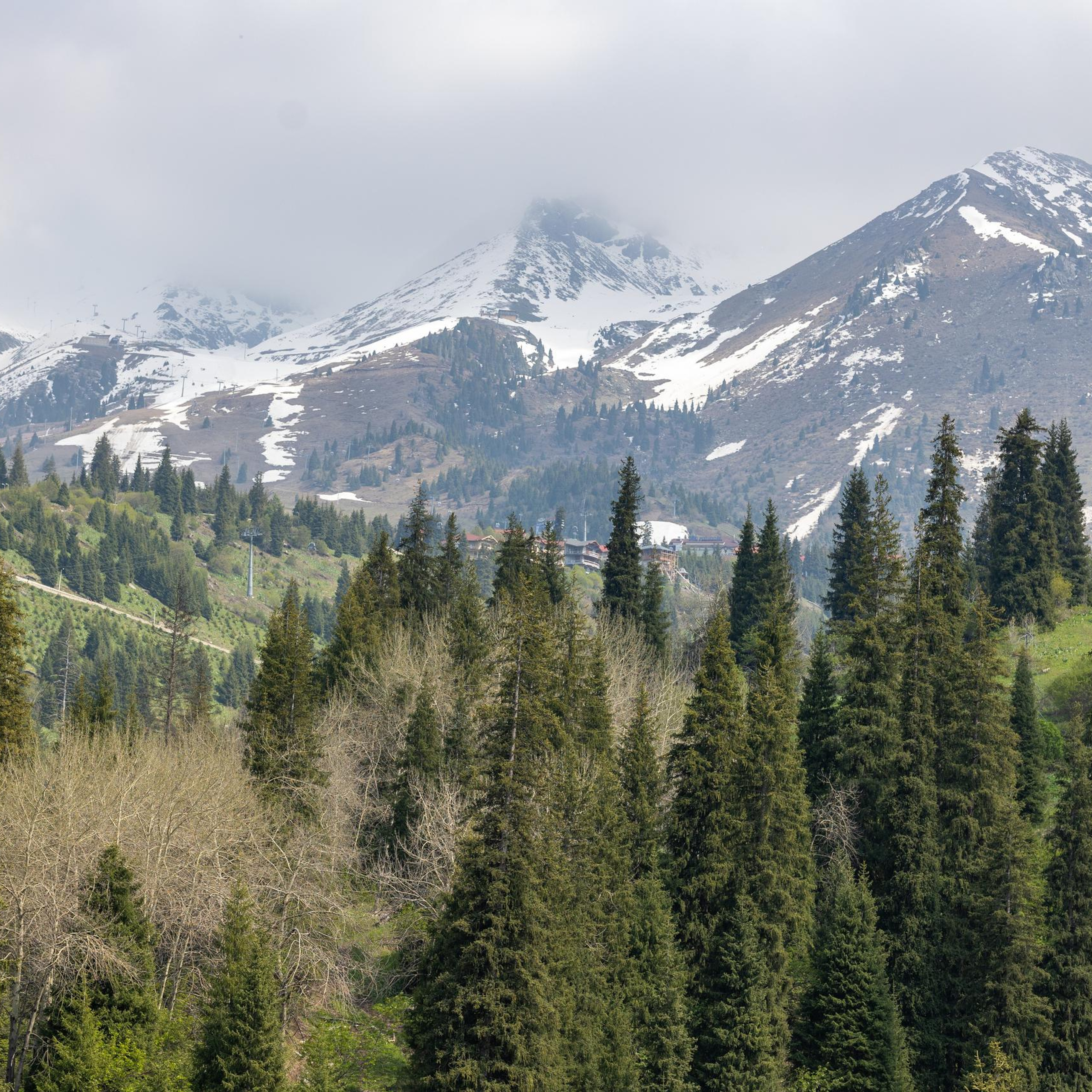 Отзывы. Семейный и детский фотограф в Алматы
