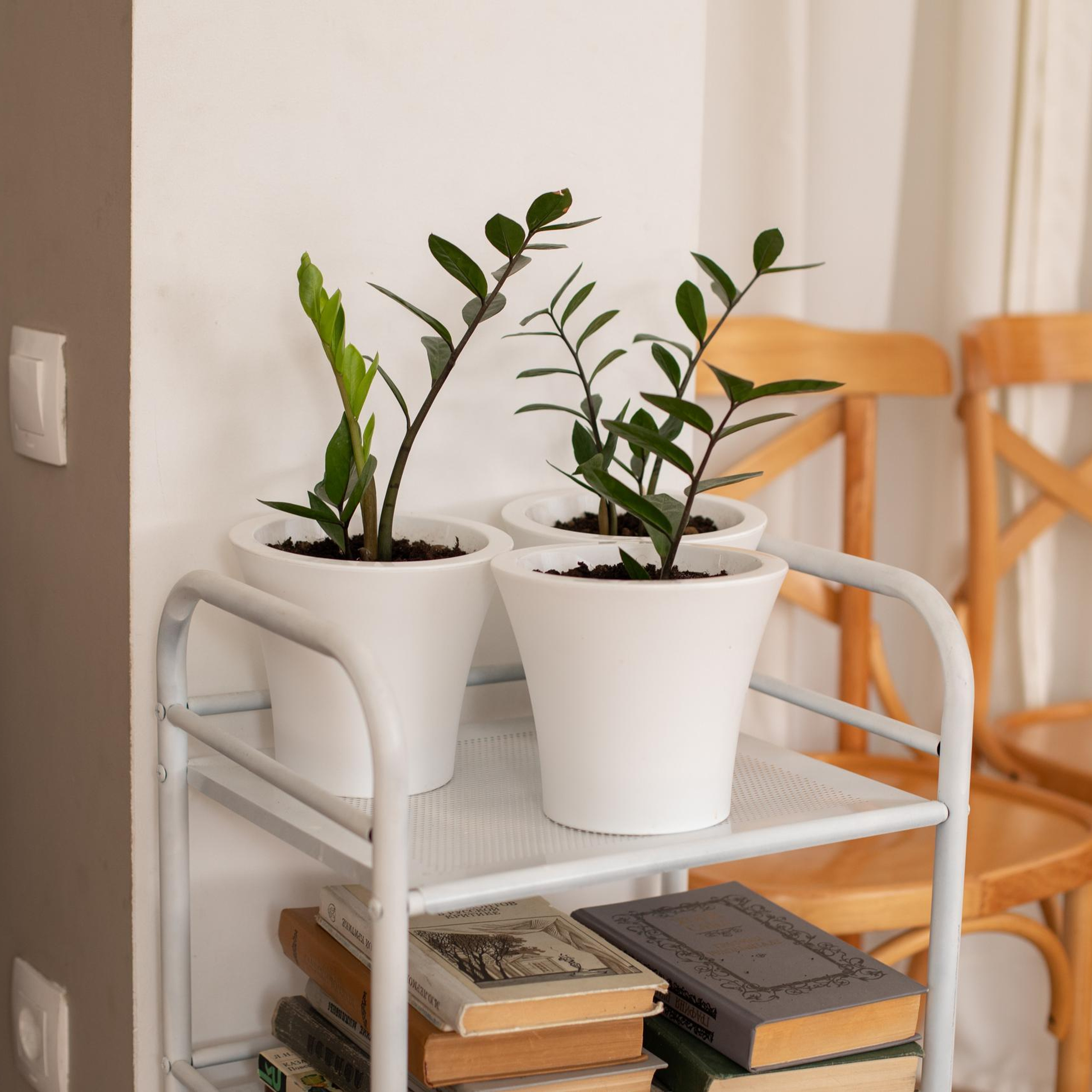 Отзывы. Семейный и детский фотограф в Алматы