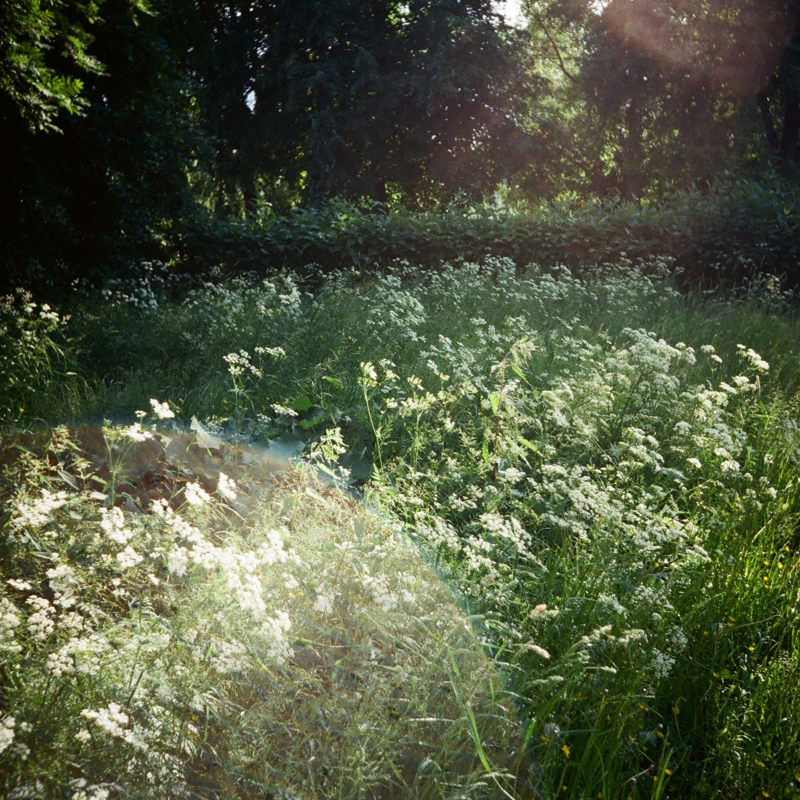 summertime