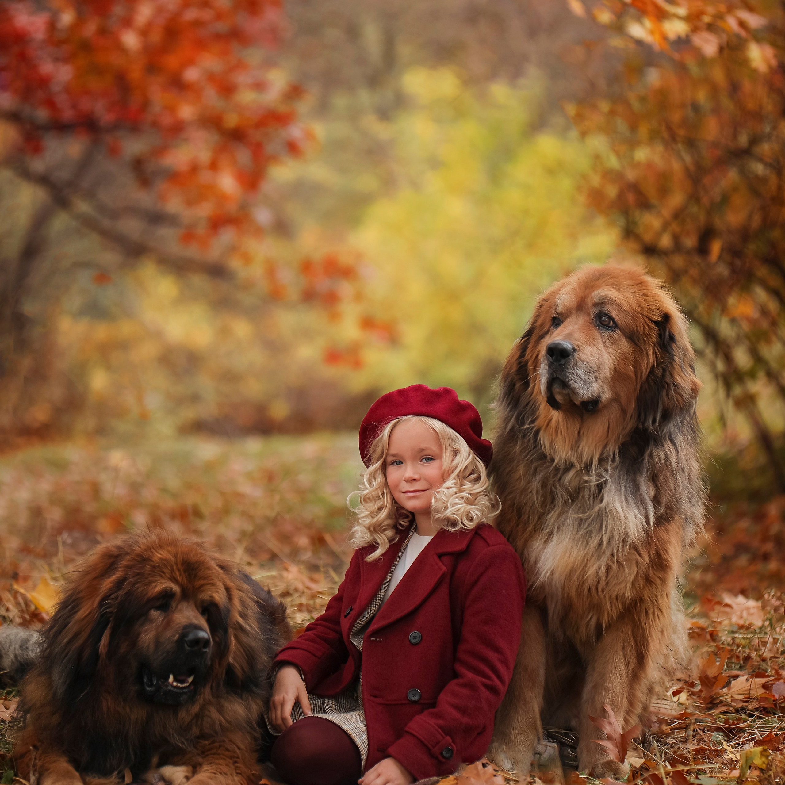 Парк Коломенское с Мастифами