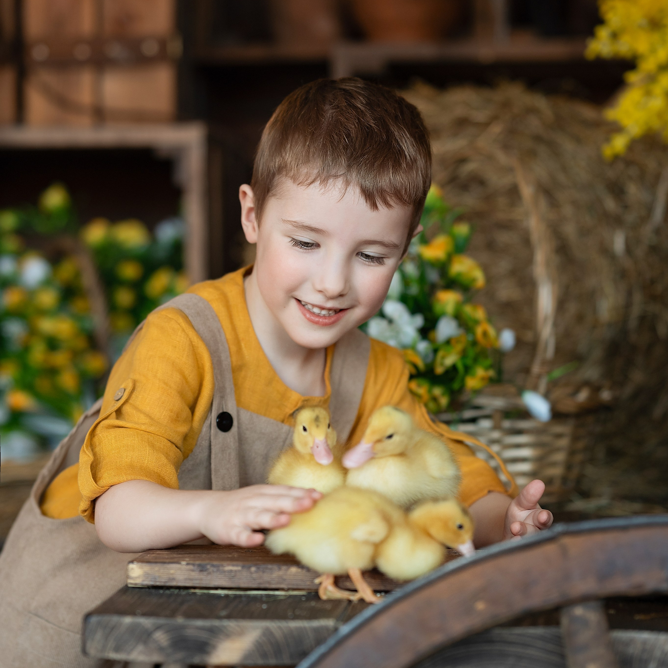 Фотосессия с утятами в Студии Леонардо