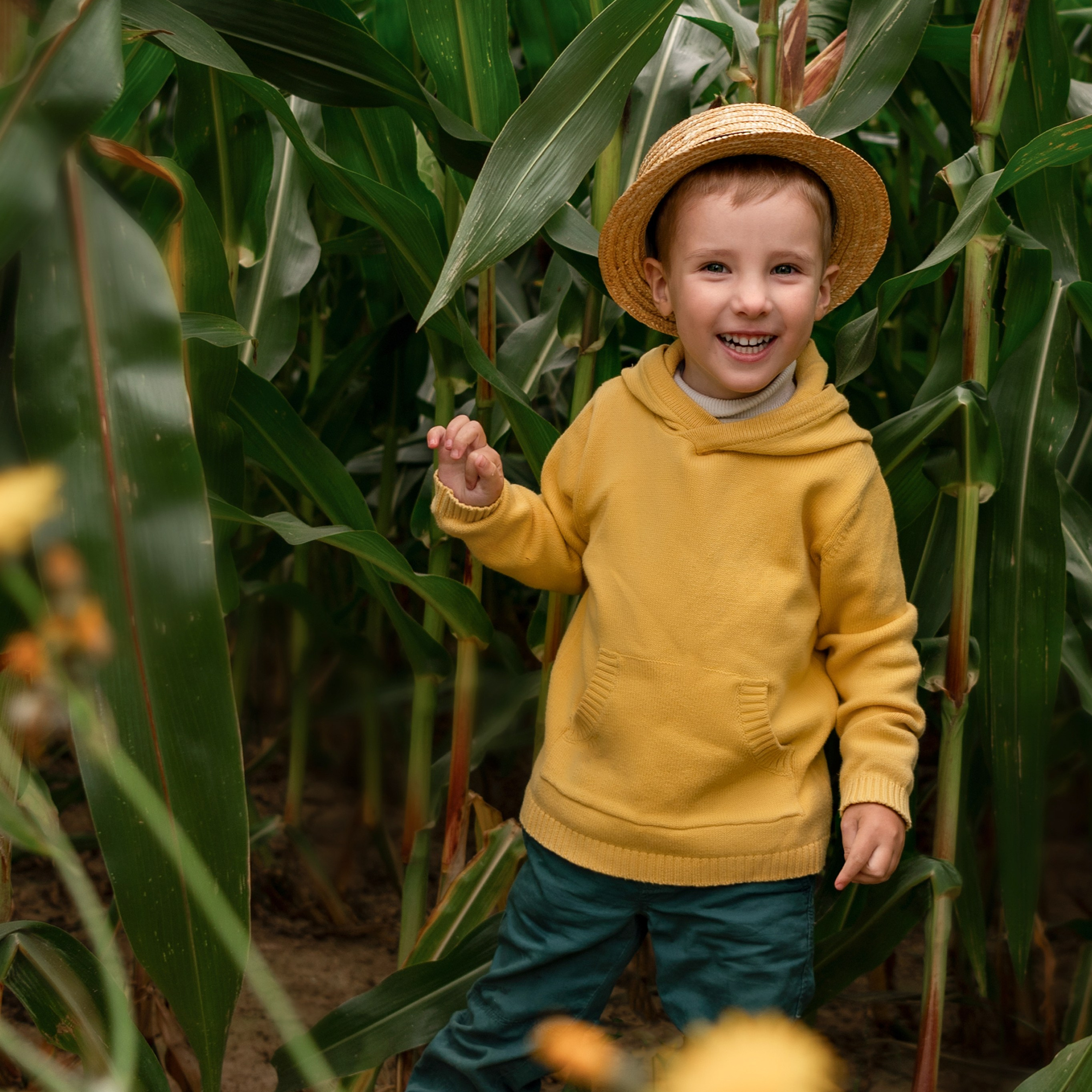 Фотосессия в кукурузе