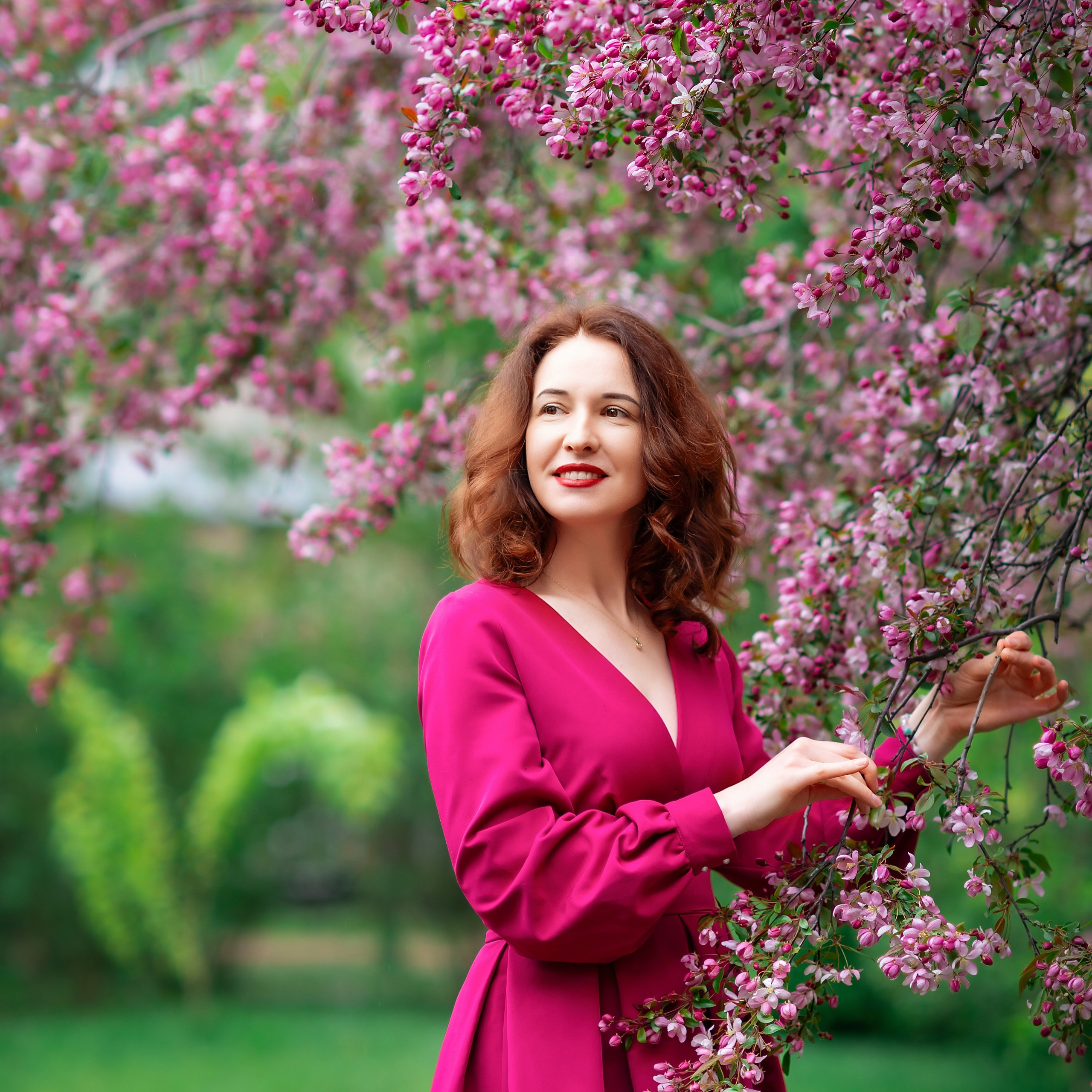 Цветение розовых яблонь