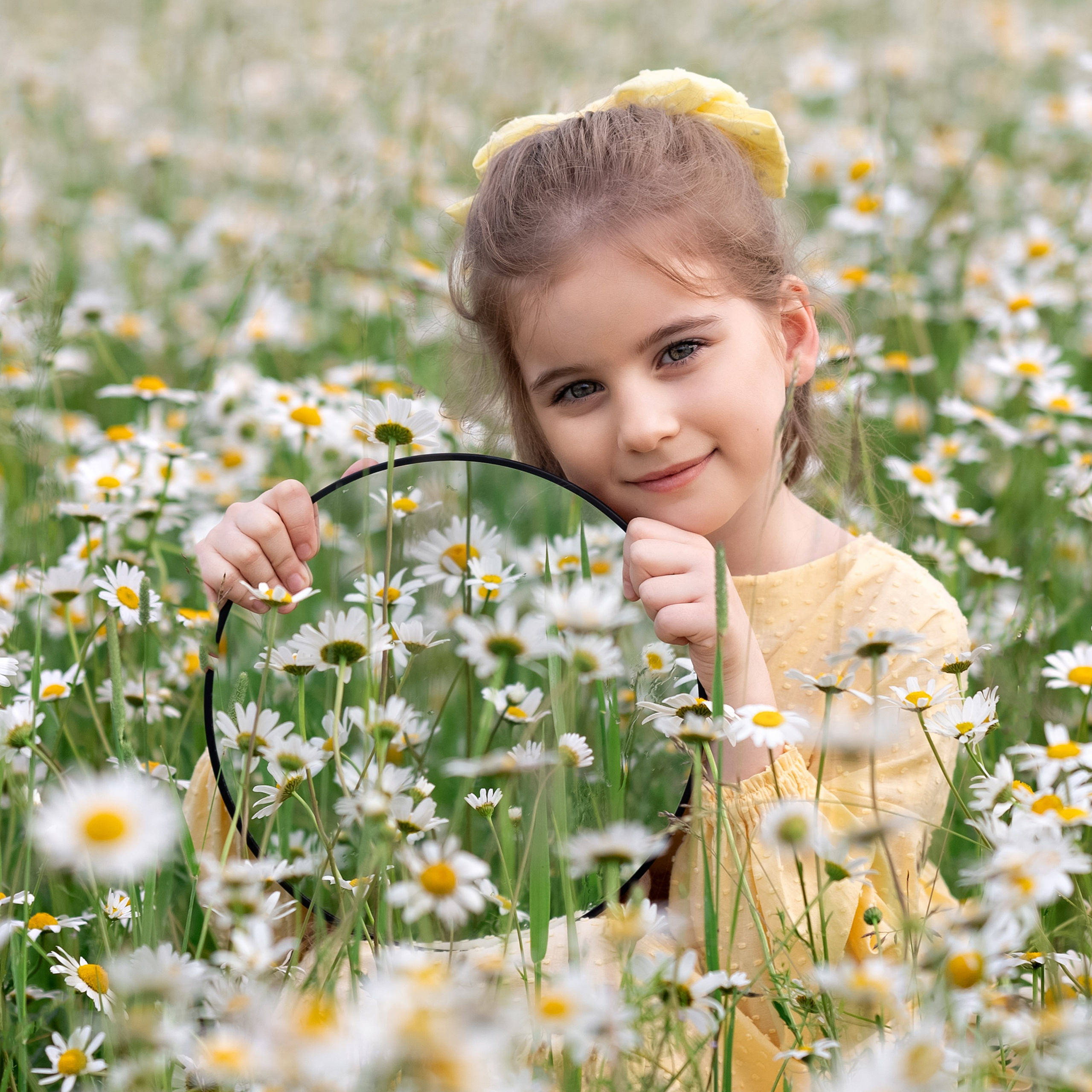 Ромашковое поле