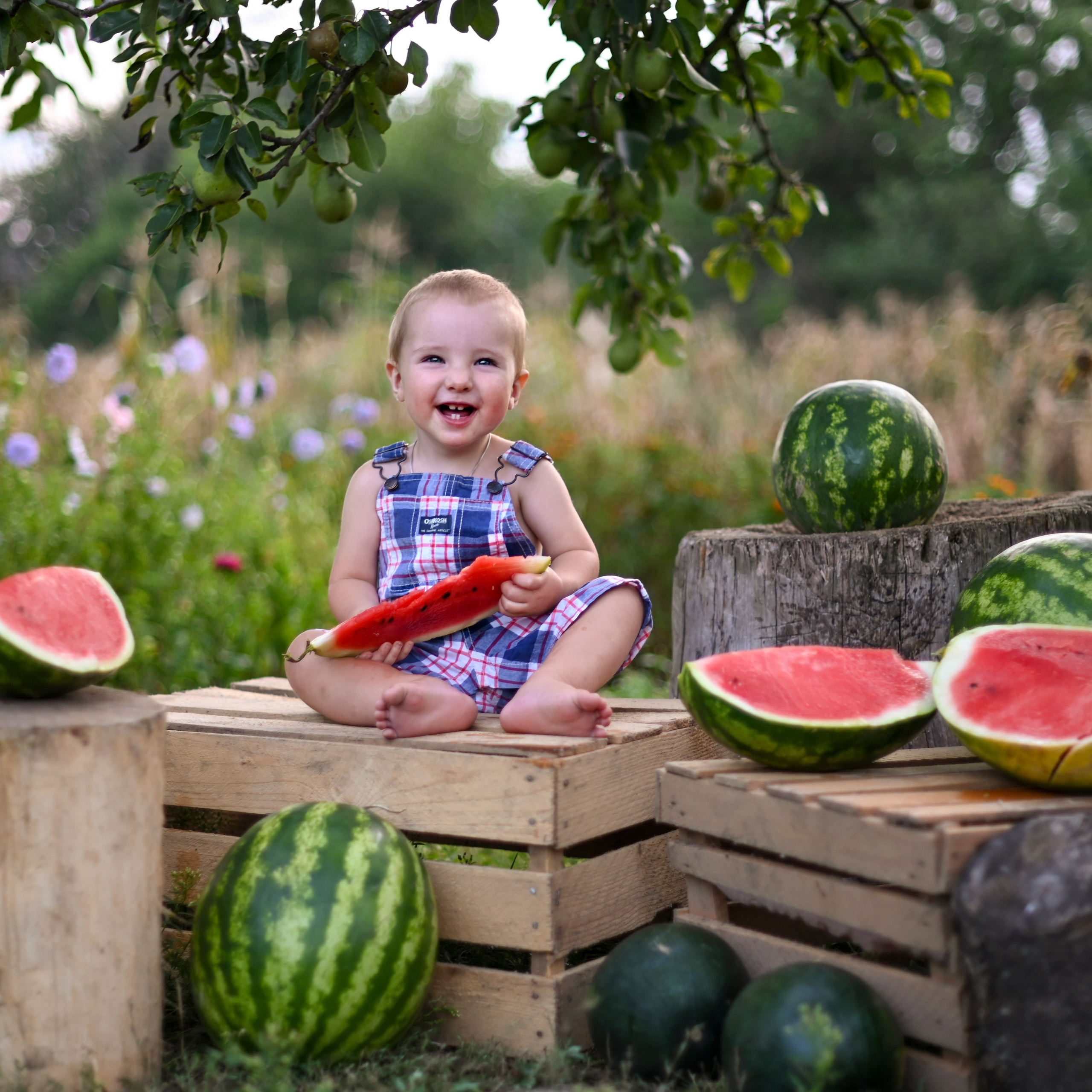 Фотопроект «Сочный арбуз»