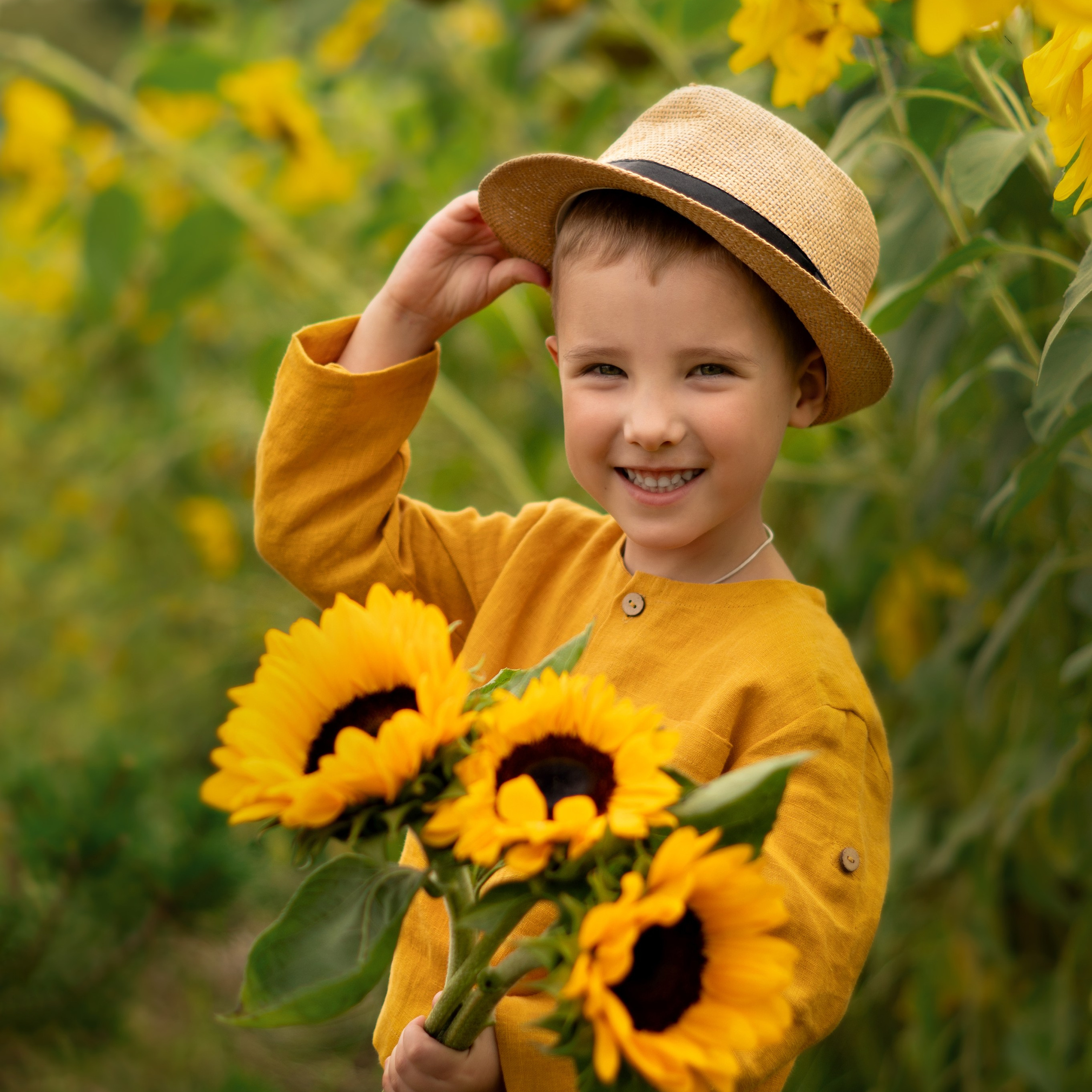 Подсолнухи