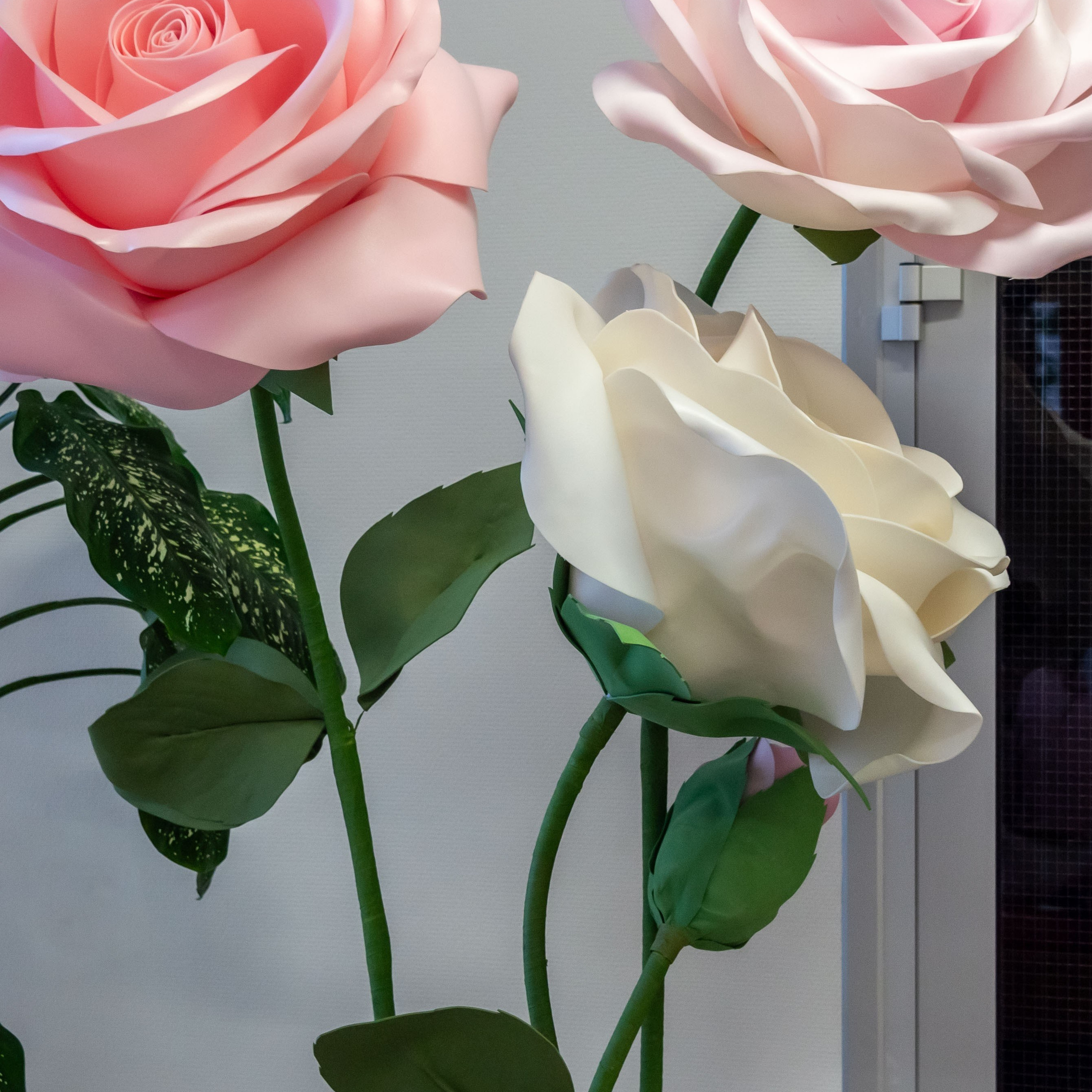 Отзывы. Елена Сергеева- фотограф для жизни и бренда. Фотосессии и репортаж мероприятий