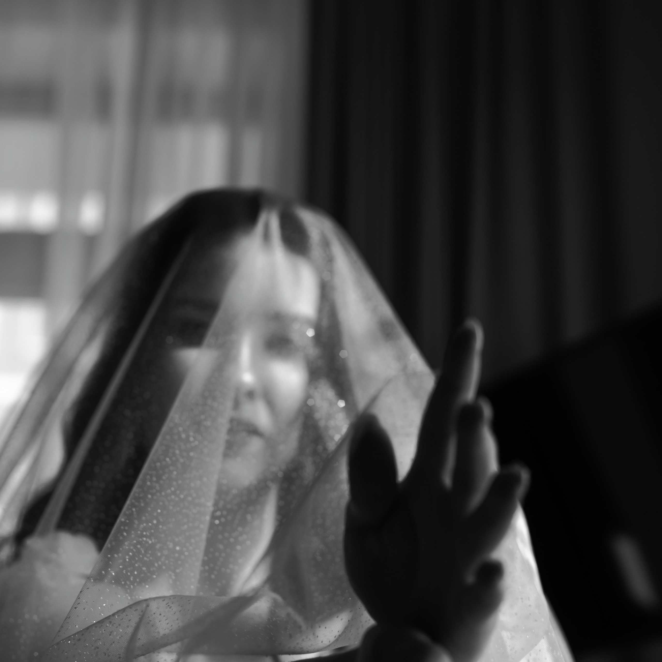 Дмитрий и Дарья