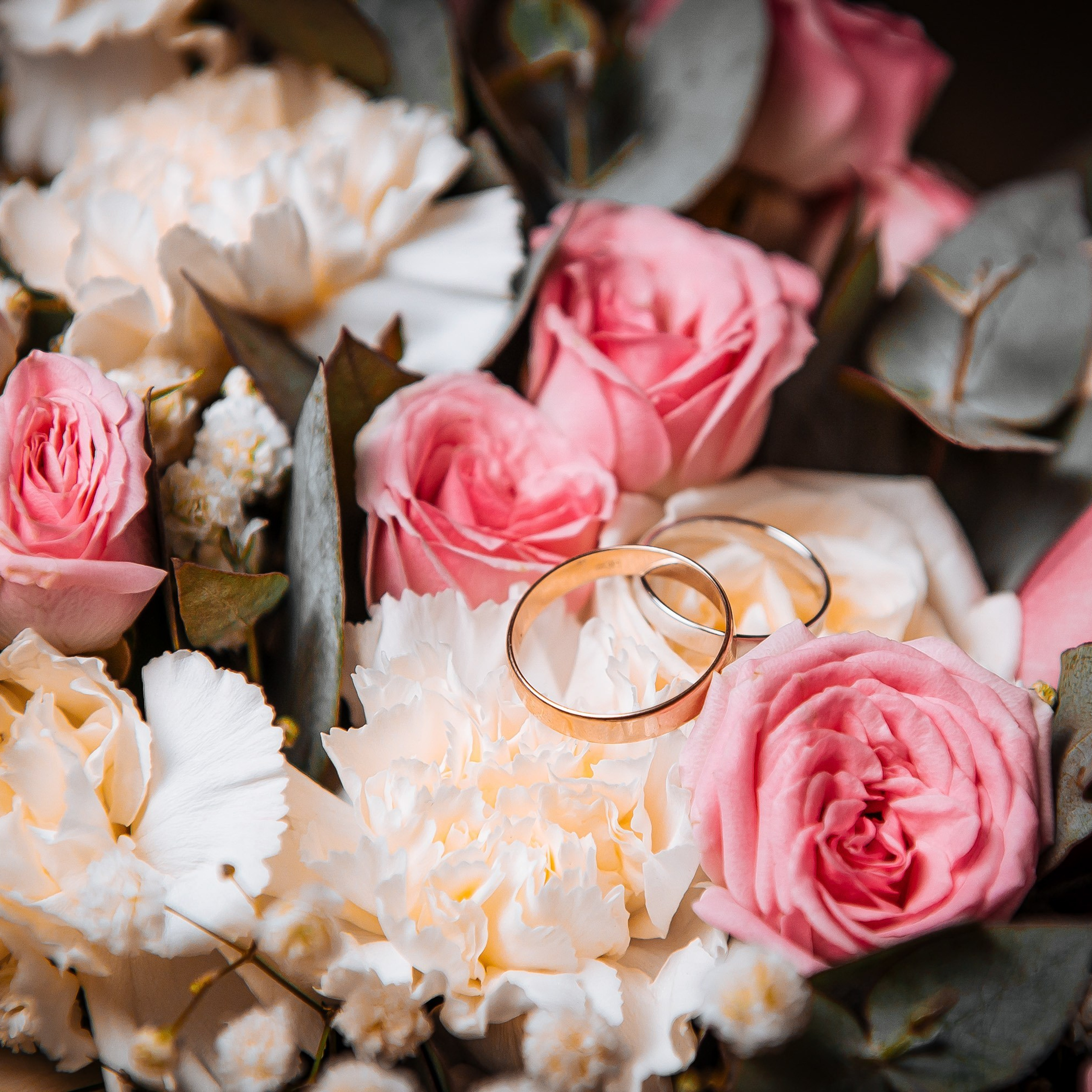 Отзывы. Главная