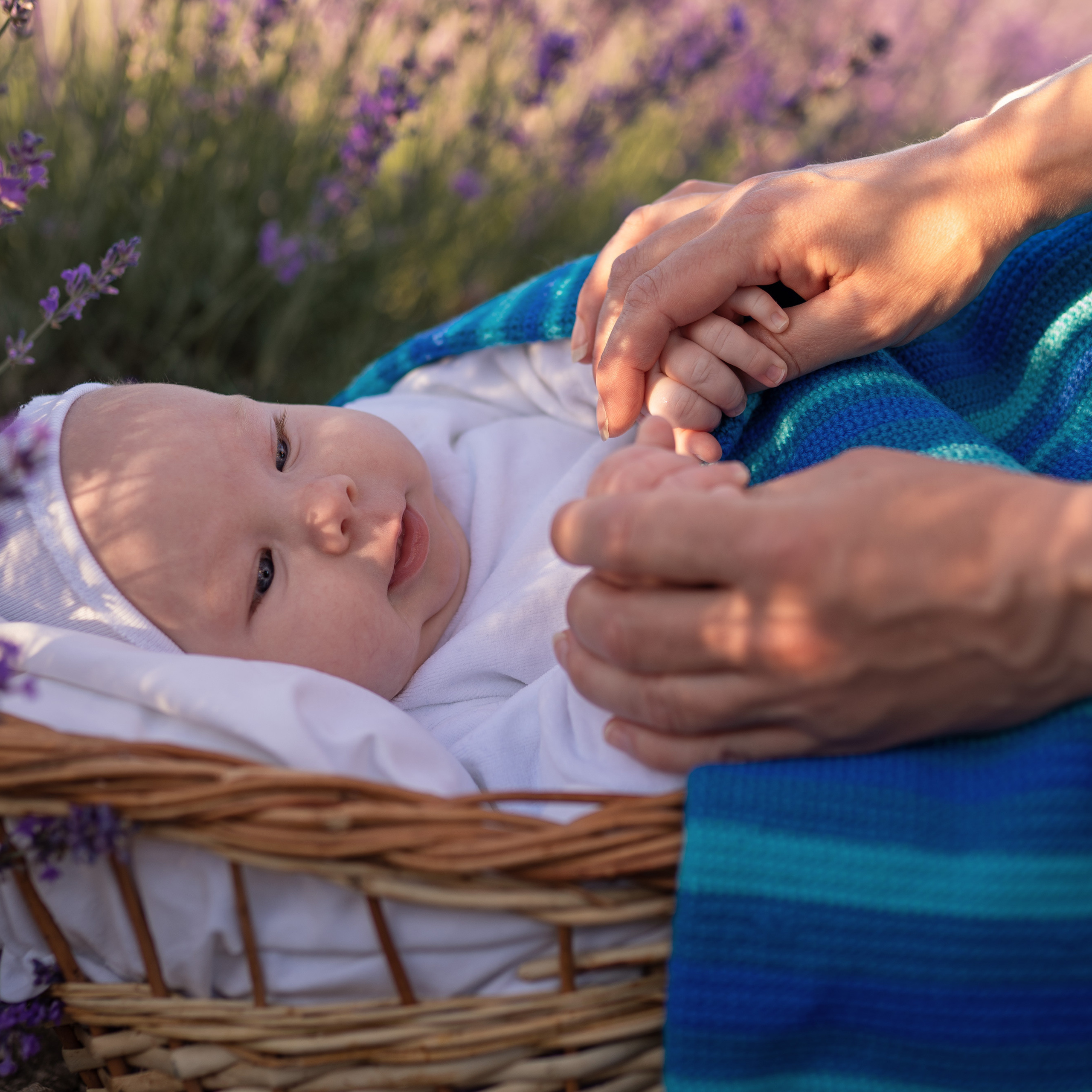 Демьян. Женский фотограф в Севастополе Алёна Бровченко