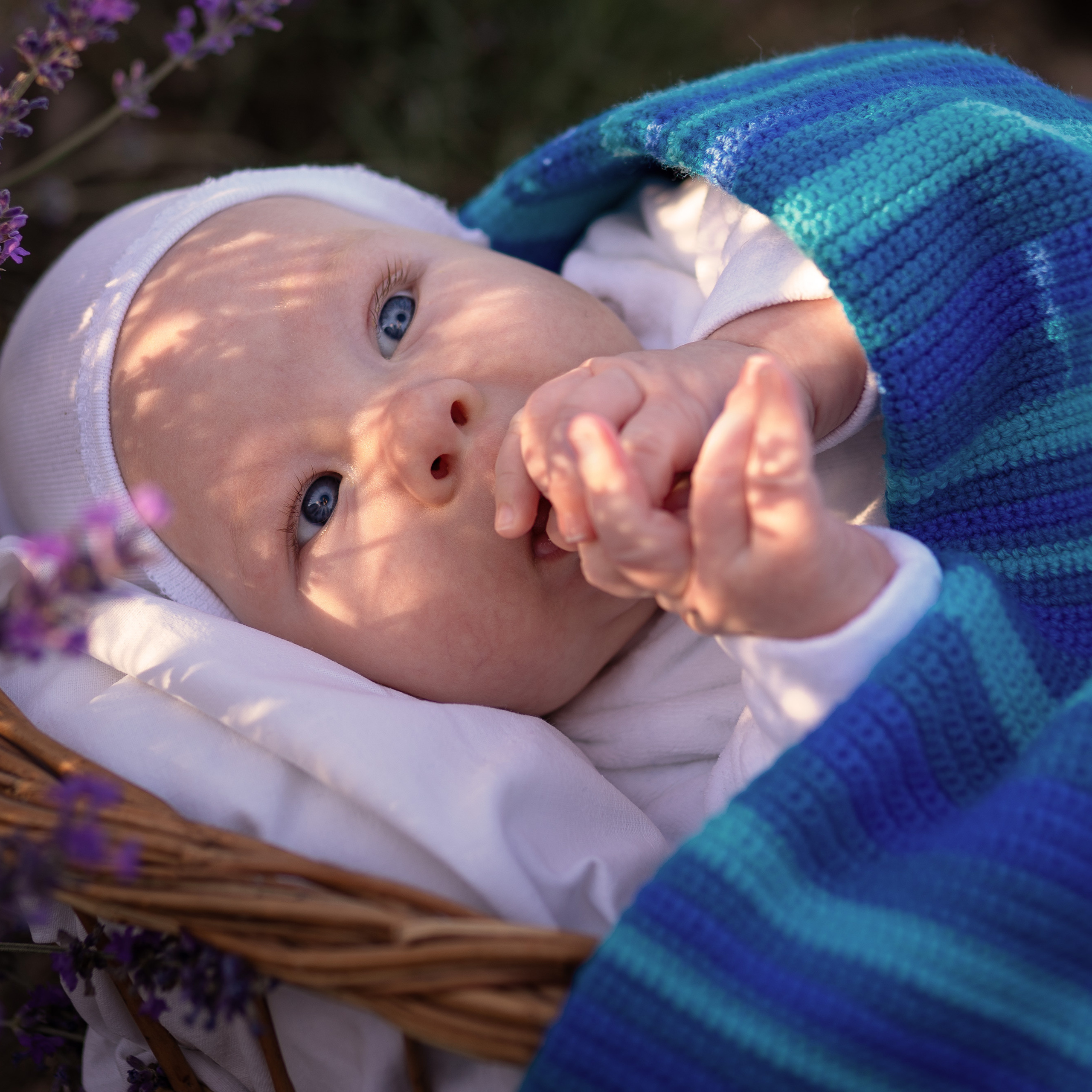 Демьян. Женский фотограф в Севастополе Алёна Бровченко