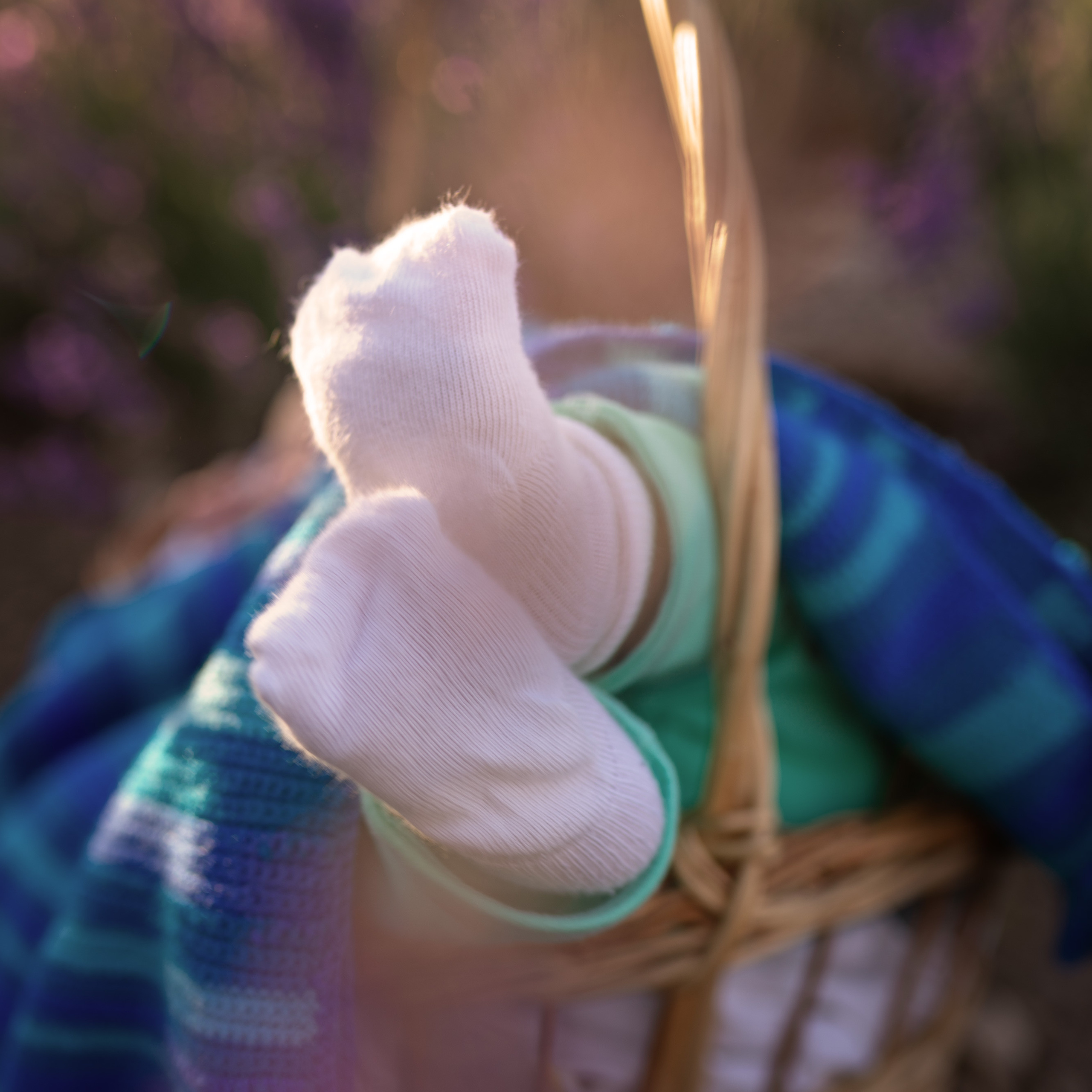 Демьян. Женский фотограф в Севастополе Алёна Бровченко