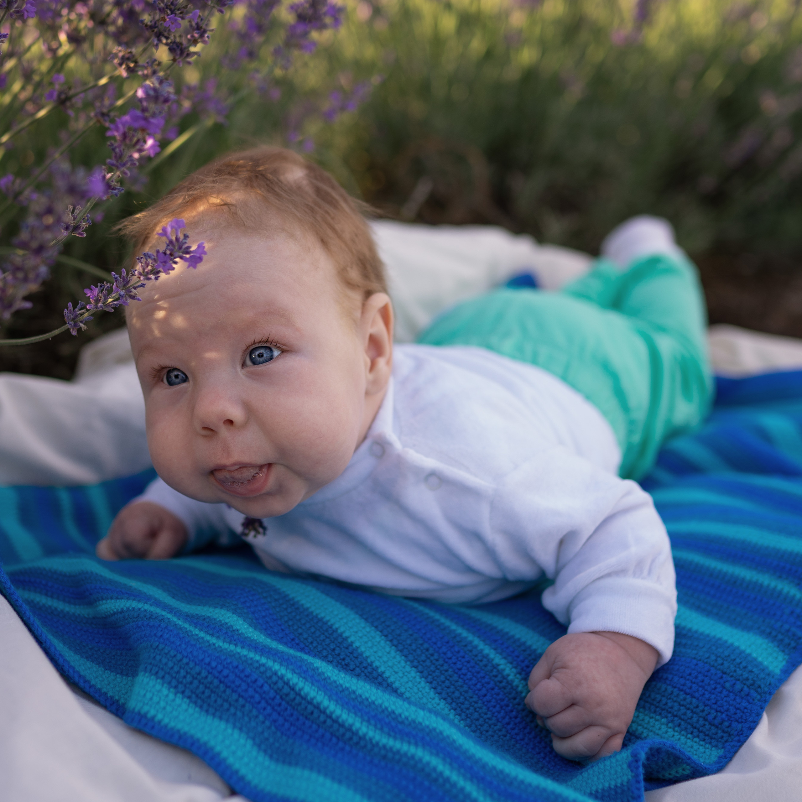 Демьян. Женский фотограф в Севастополе Алёна Бровченко