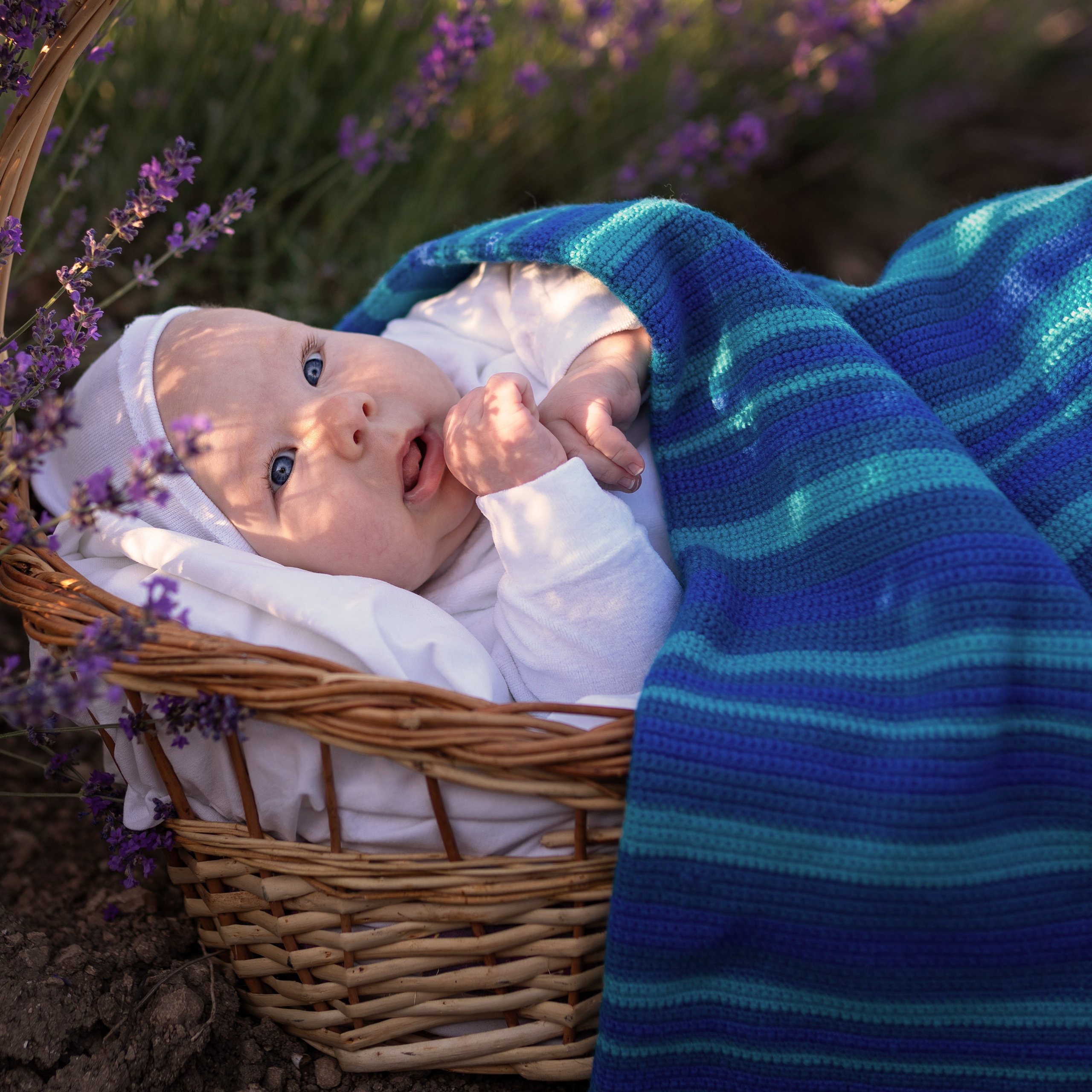 Демьян. Женский фотограф в Севастополе Алёна Бровченко