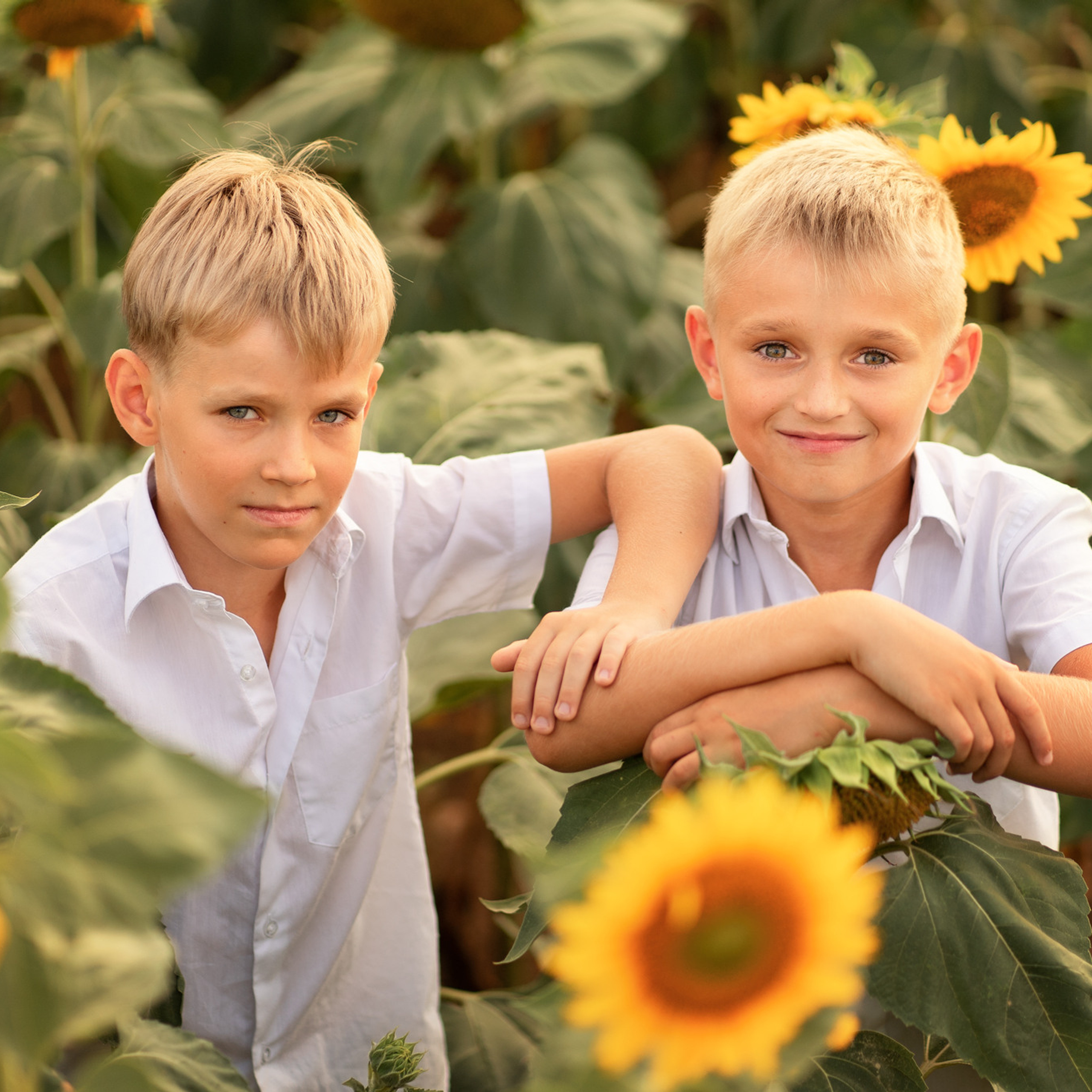 Братья. Женский фотограф в Севастополе Алёна Бровченко