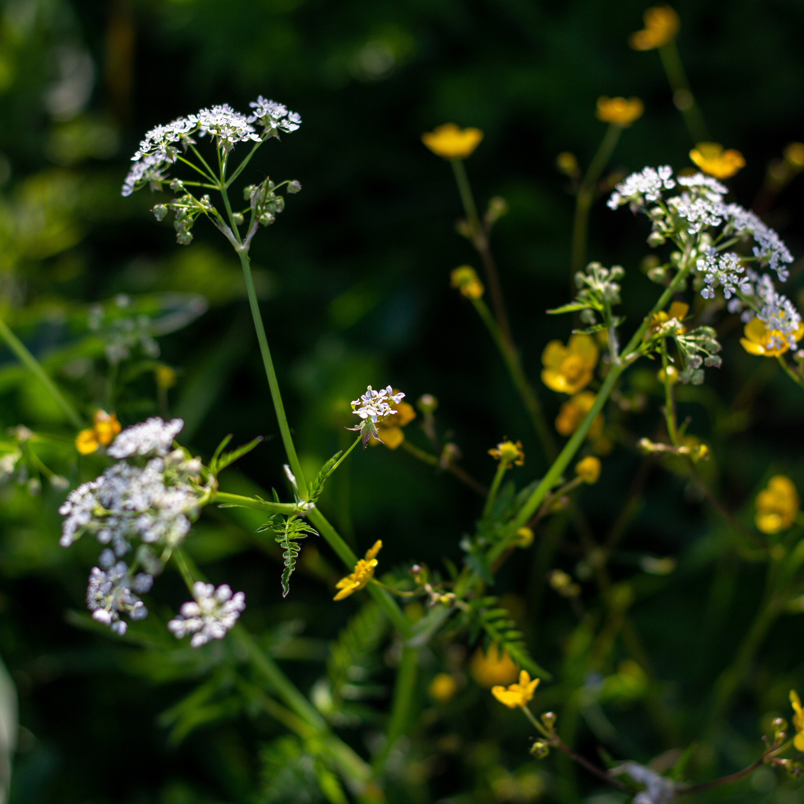 Ольга Степанова фотограф визажист в Санкт-Петербурге